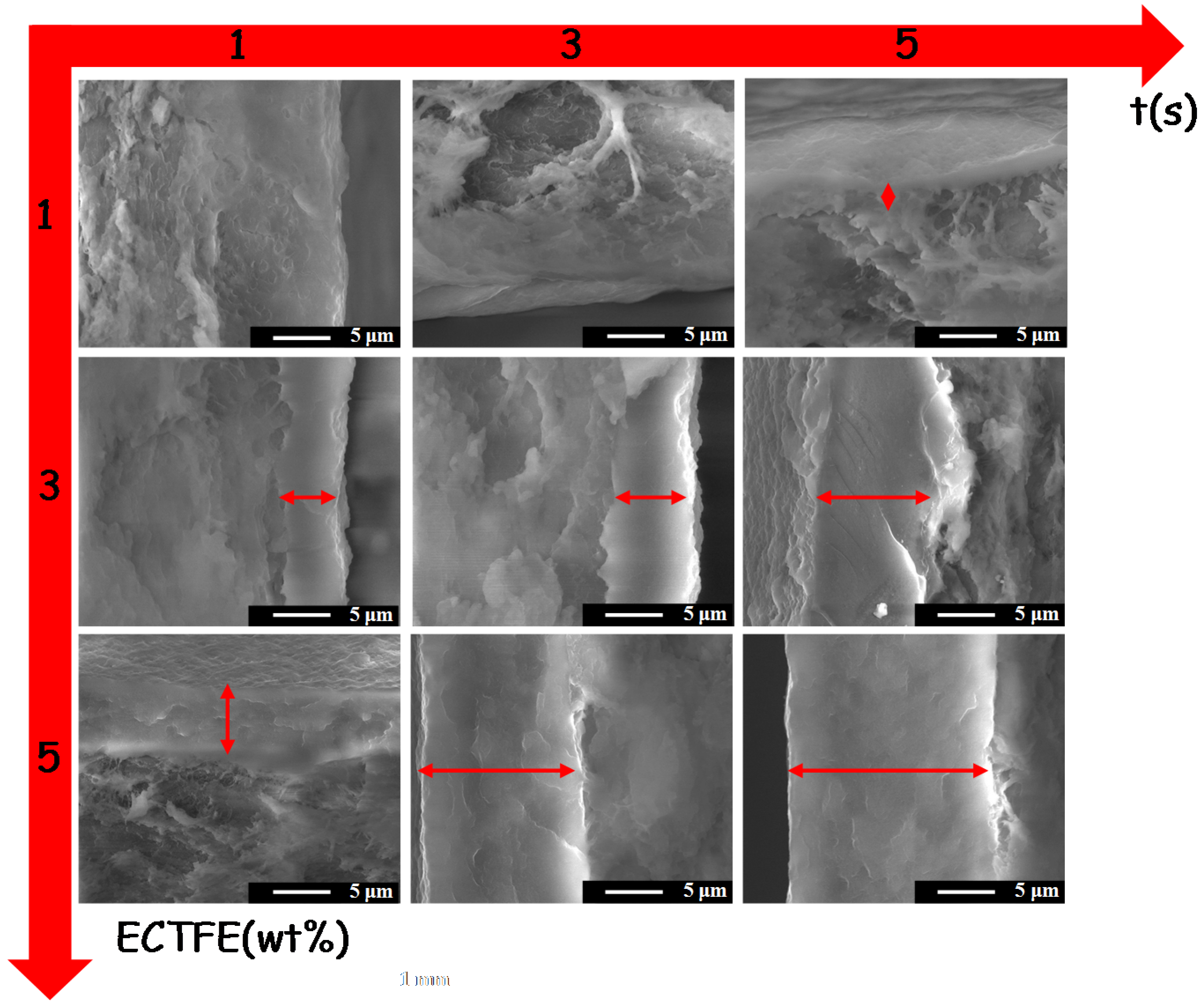Coatings 06 00040 g005