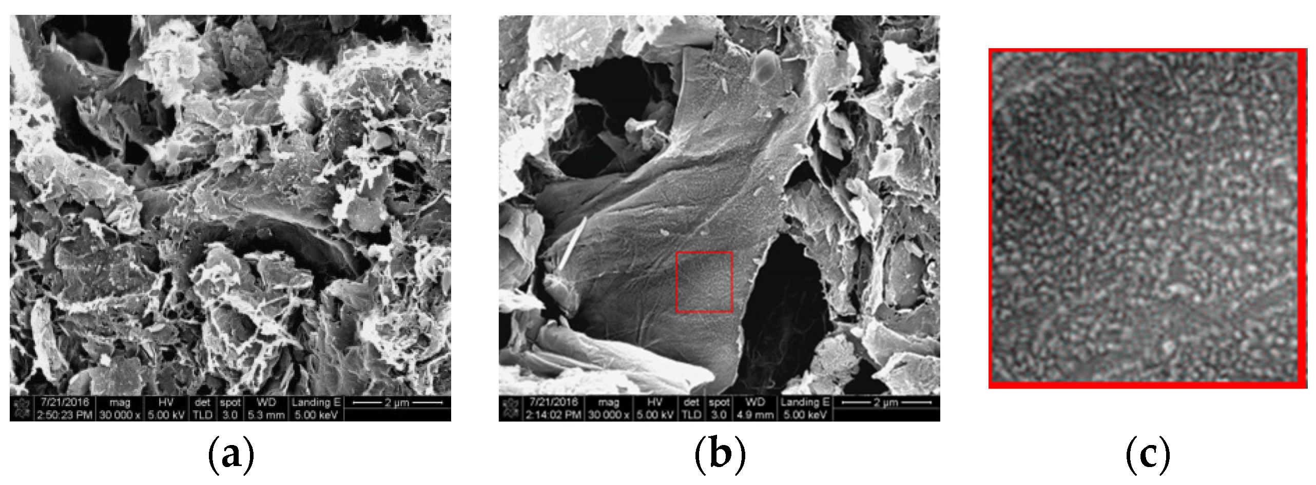 Coatings 06 00044 g004a