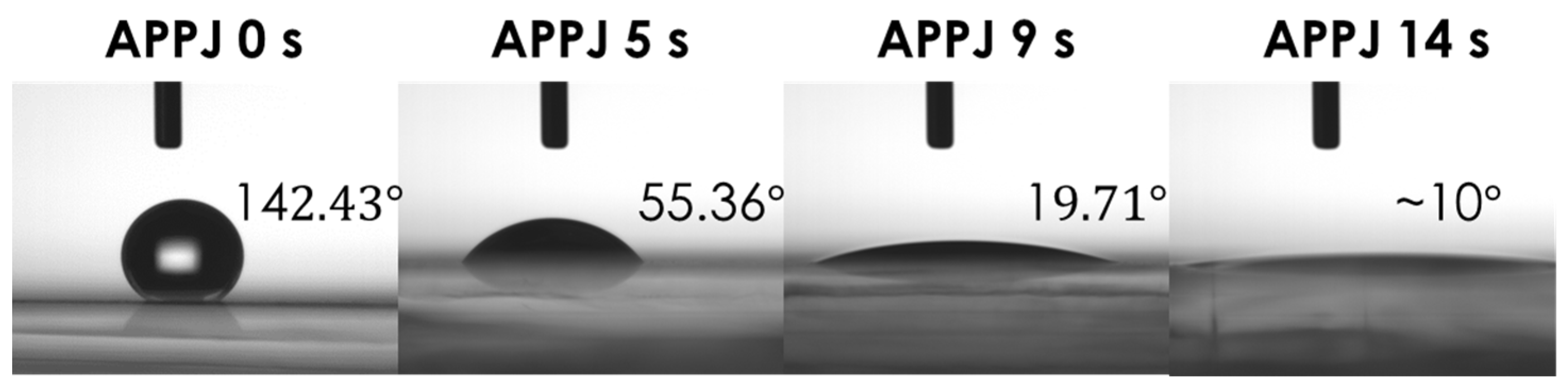 Coatings 06 00044 g005