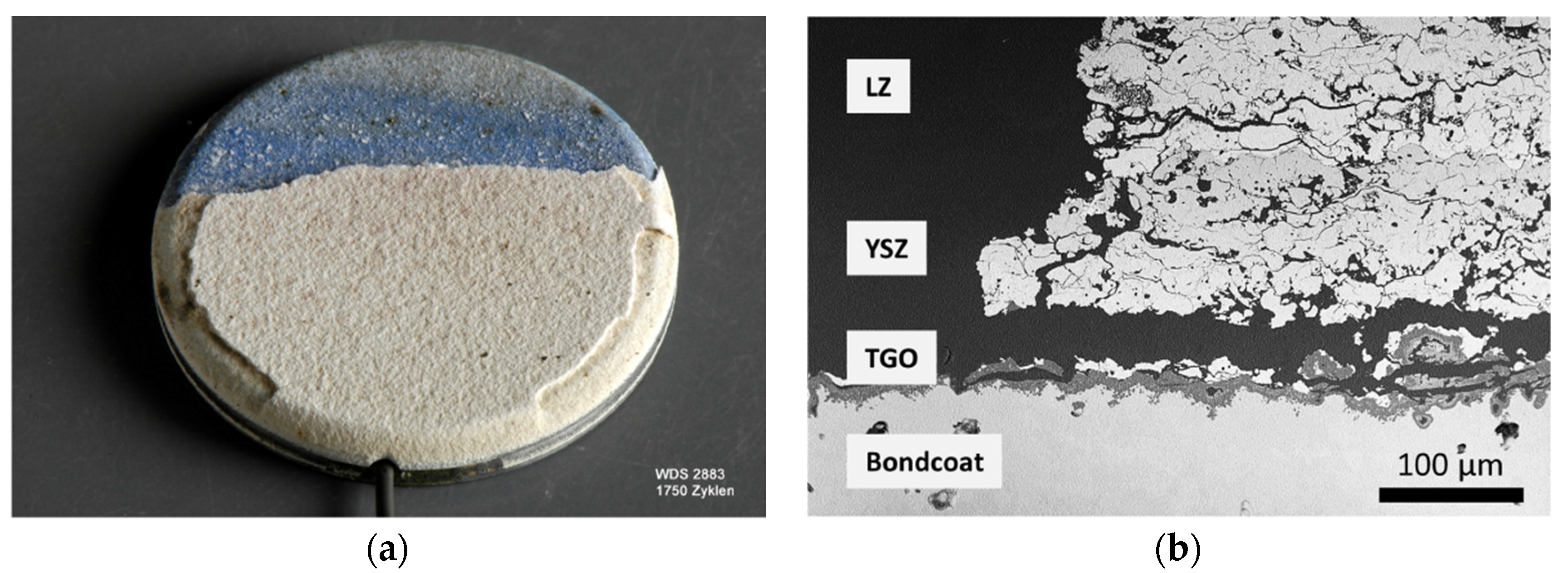 Coatings 06 00049 g010