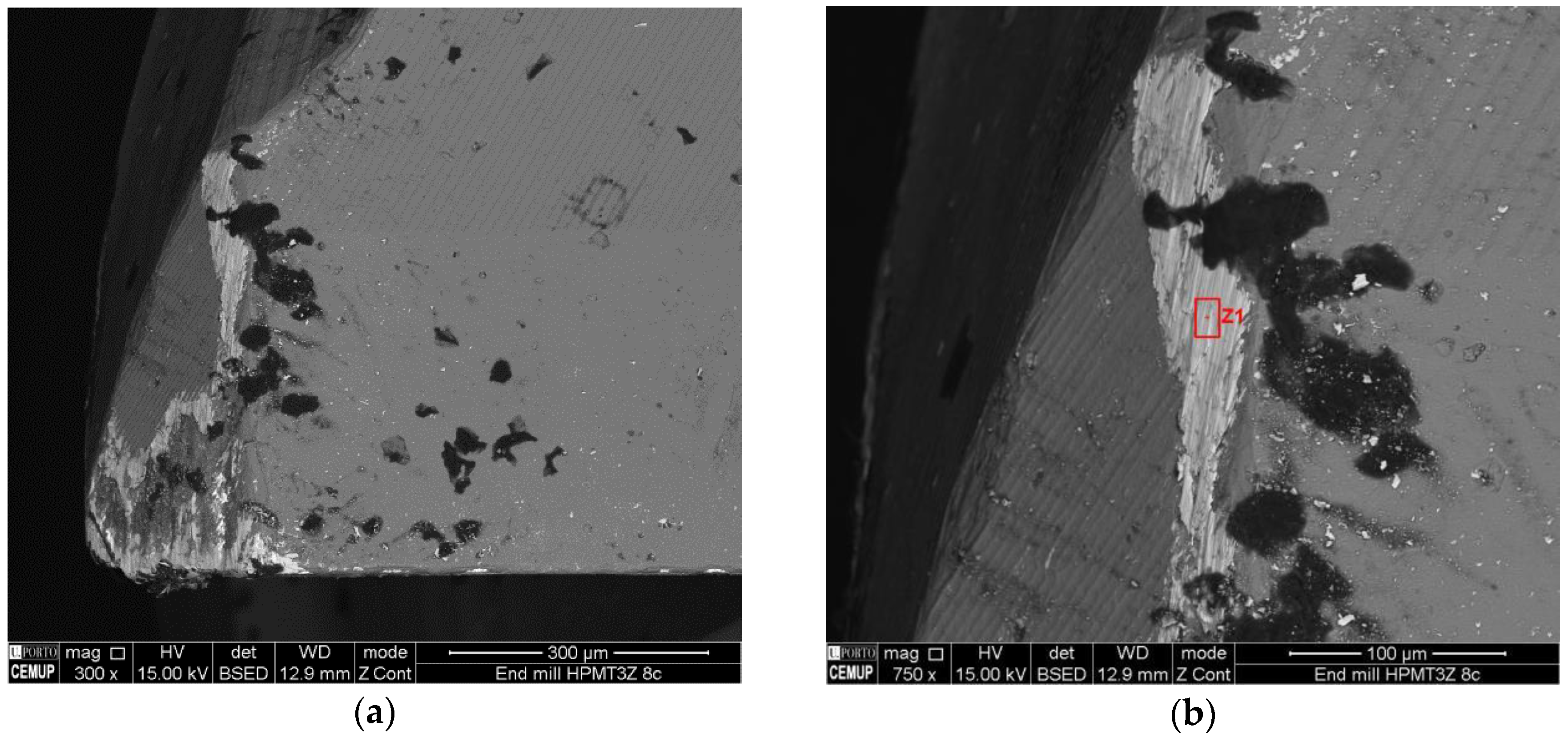 Coatings 06 00051 g004a