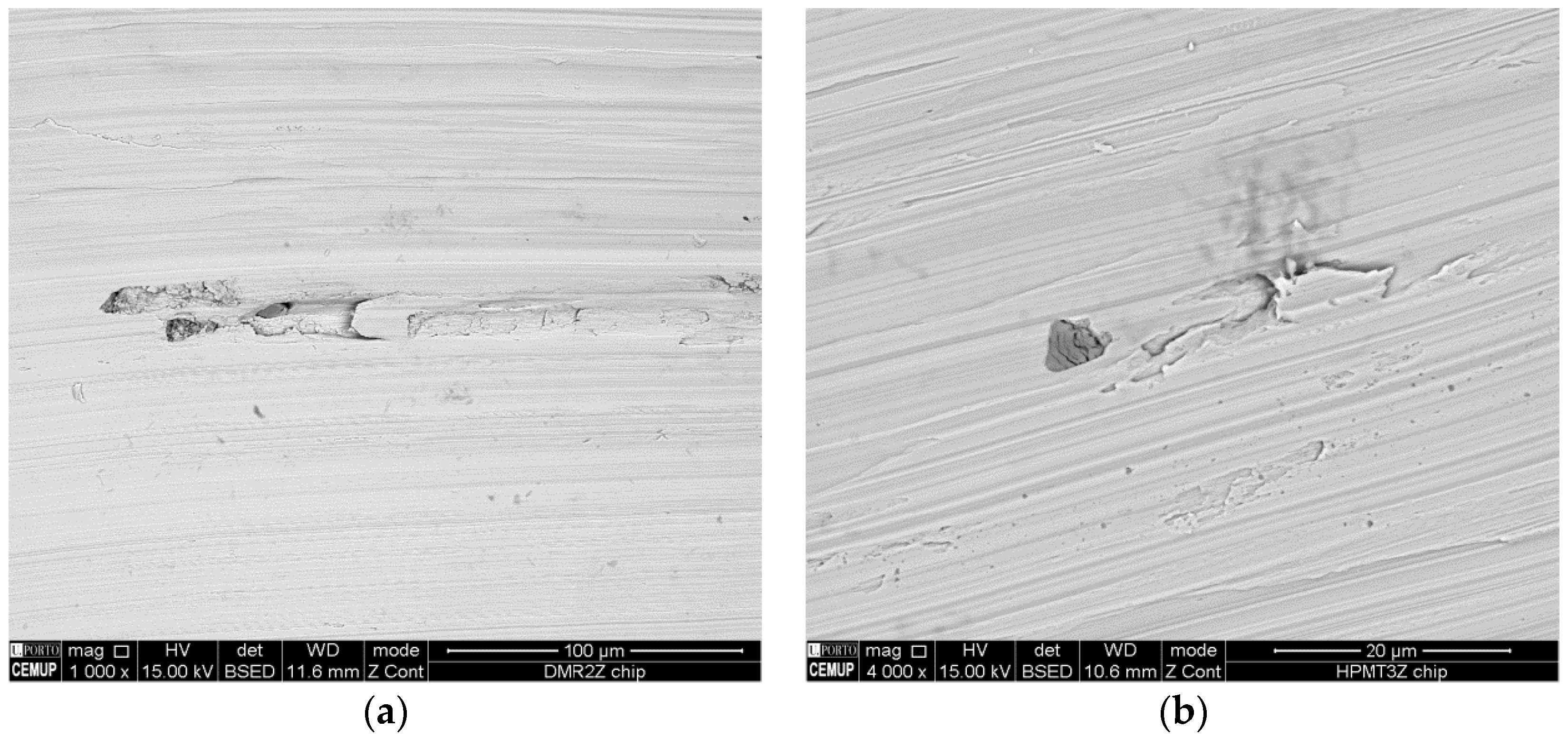 Coatings 06 00051 g005