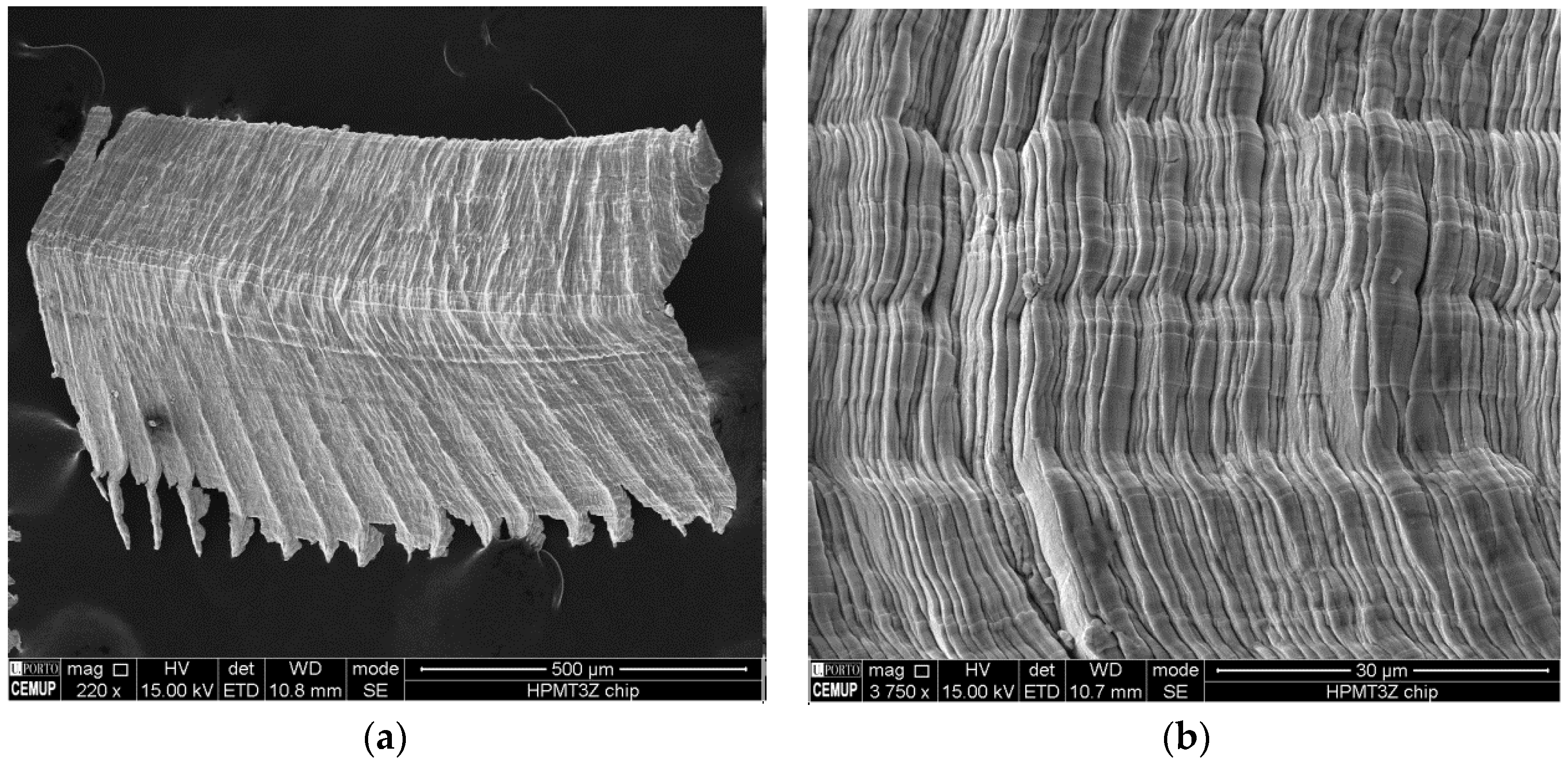 Coatings 06 00051 g008