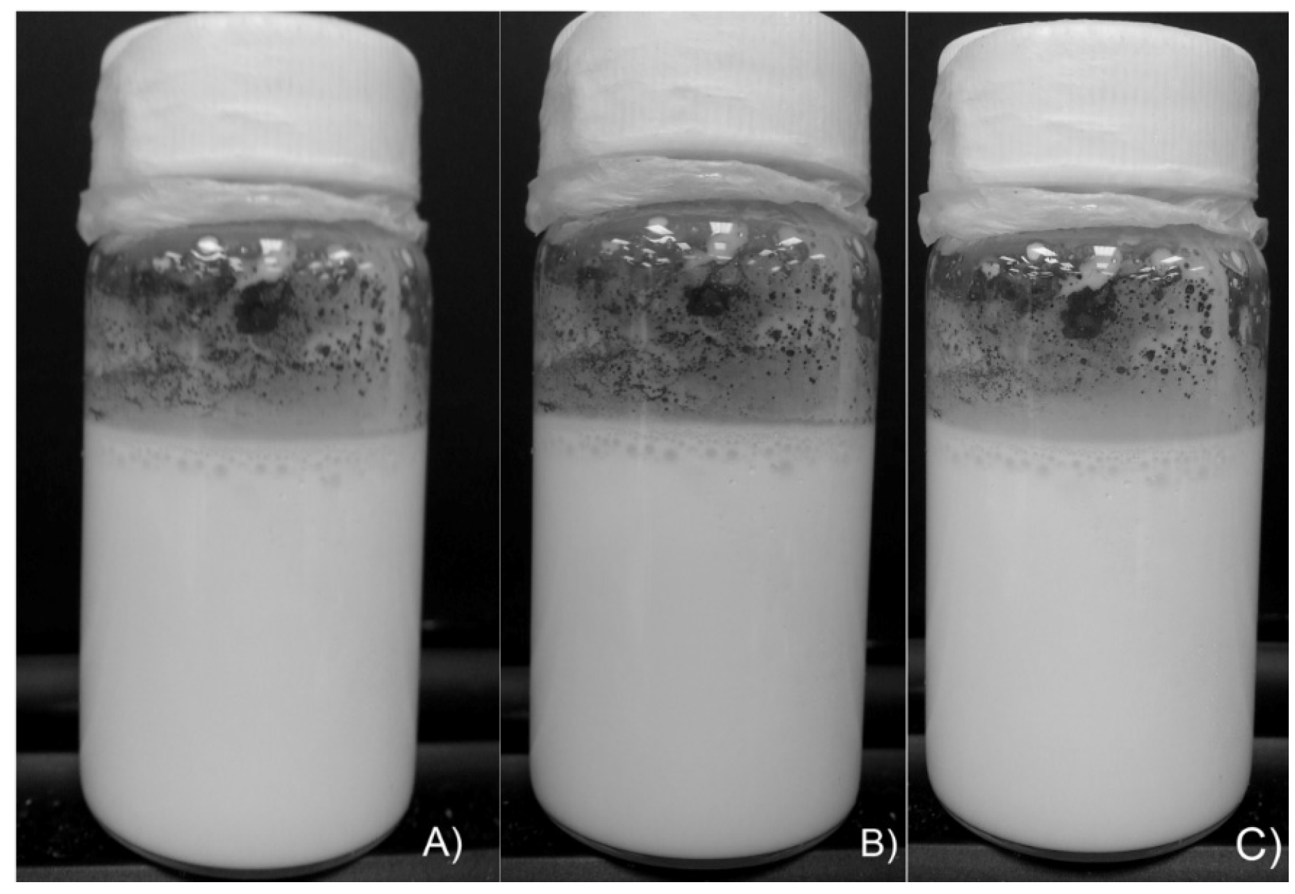 Coatings 06 00056 g004
