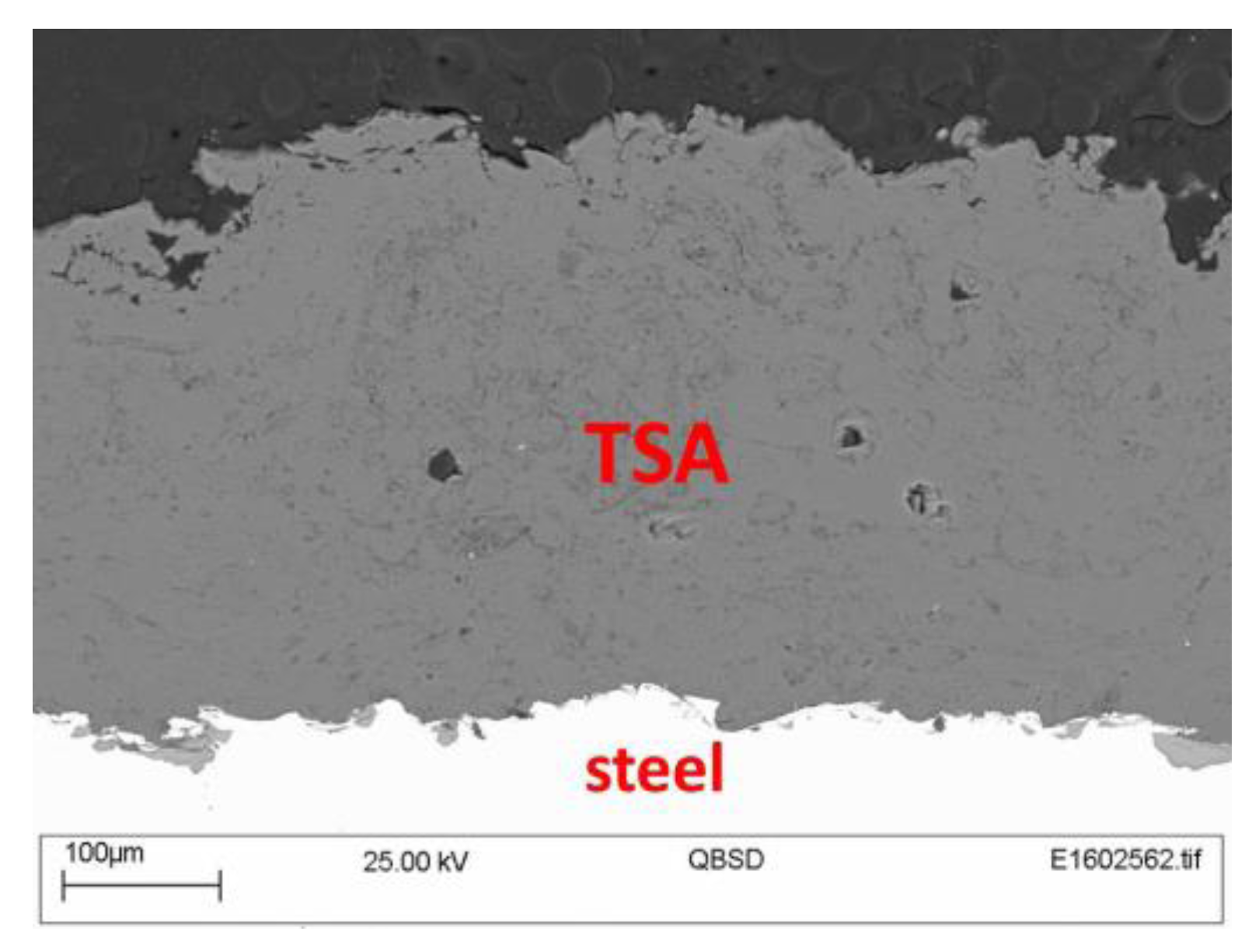 Coatings 06 00058 g003
