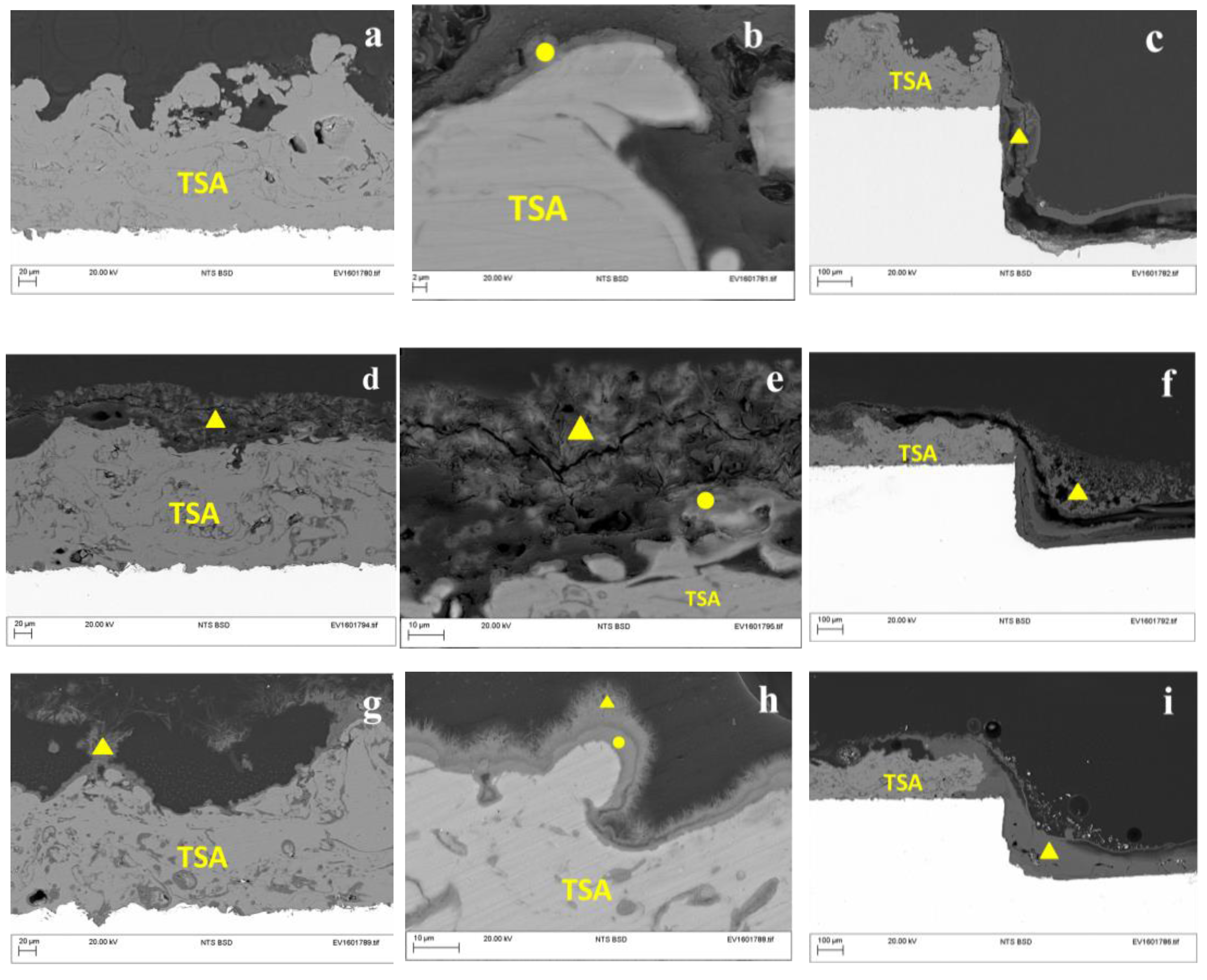 Coatings 06 00058 g004