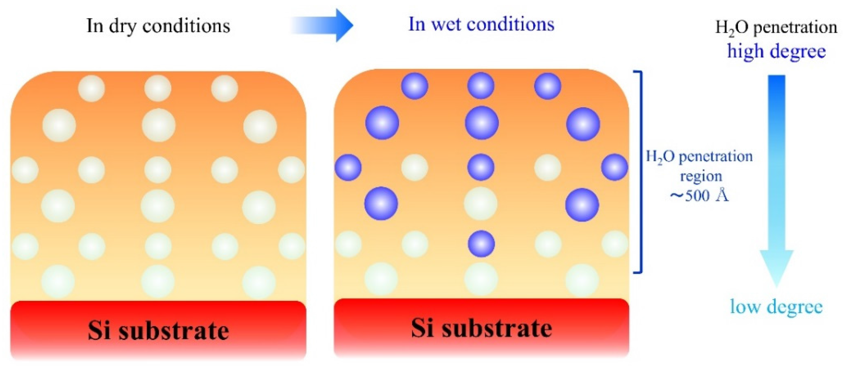 Coatings 06 00064 g006