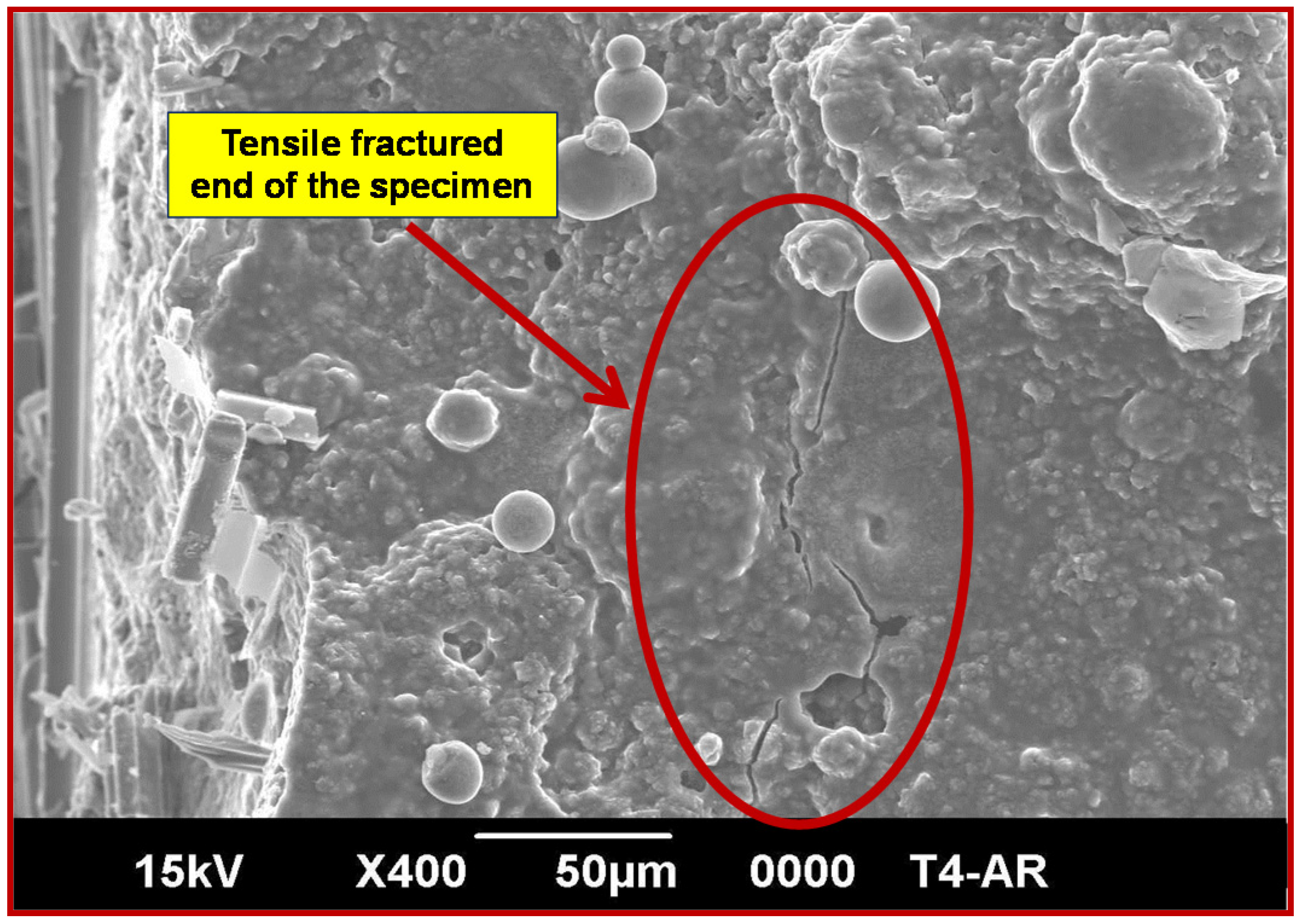 Coatings 06 00070 g009