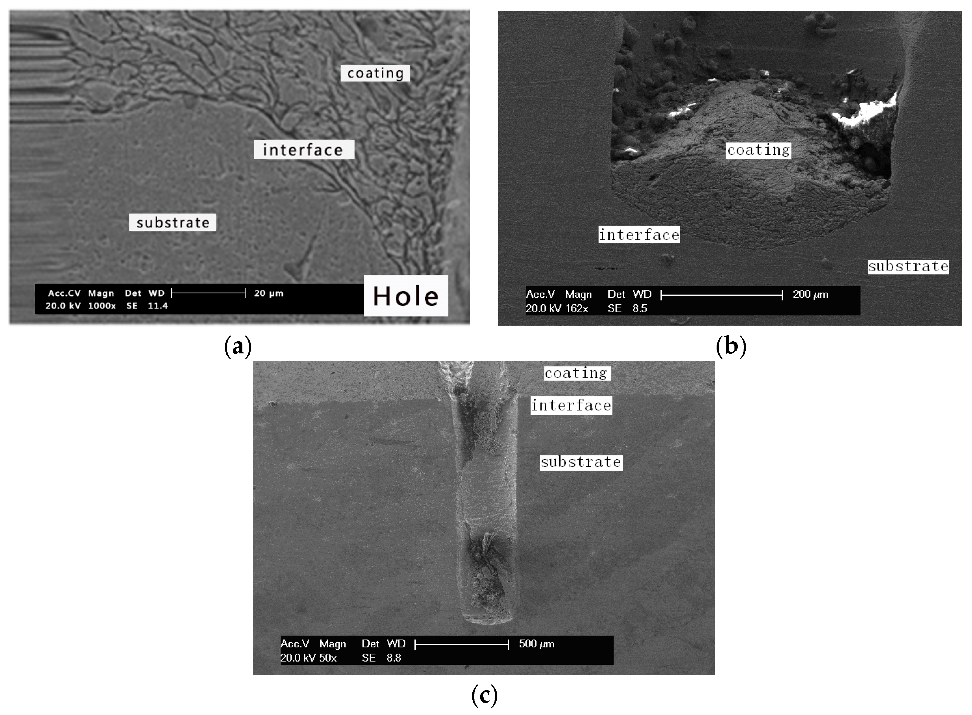 Coatings 07 00002 g005