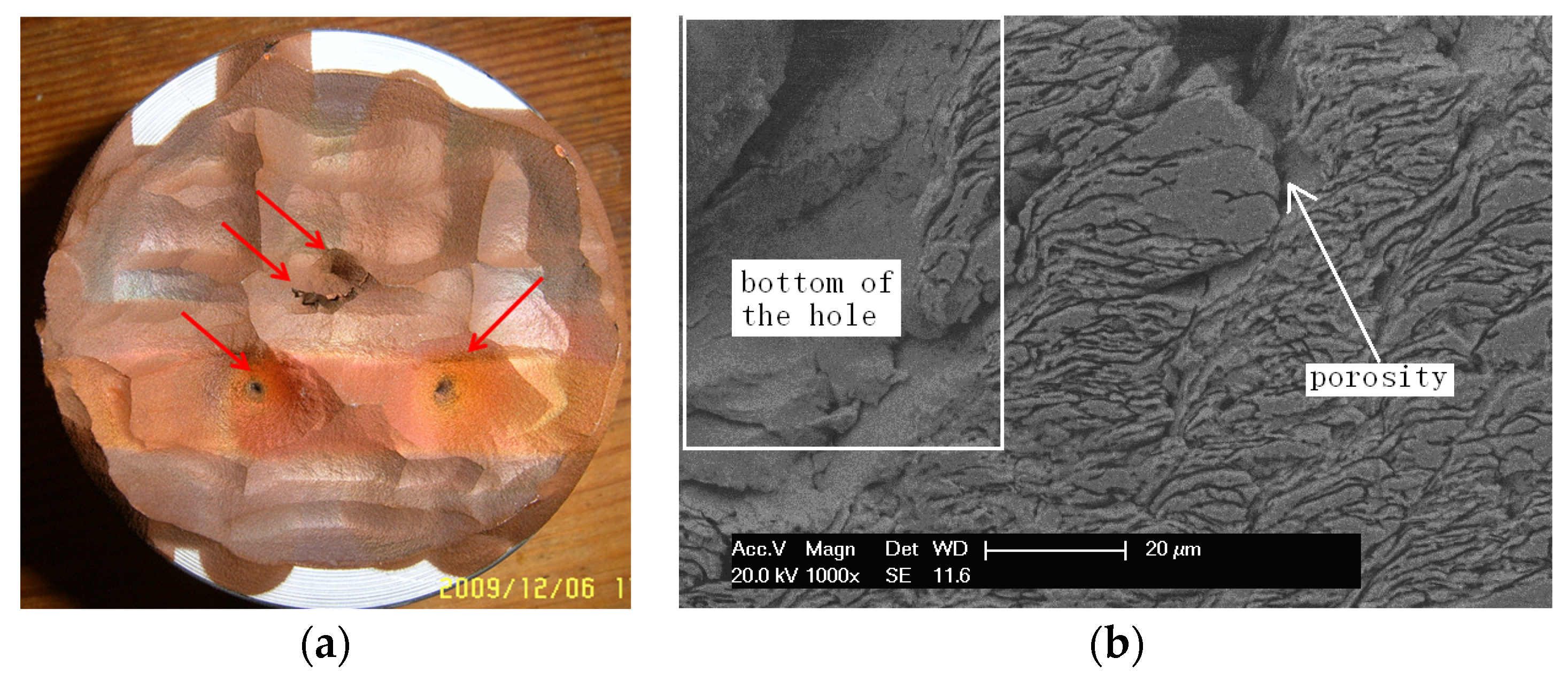 Coatings 07 00002 g012