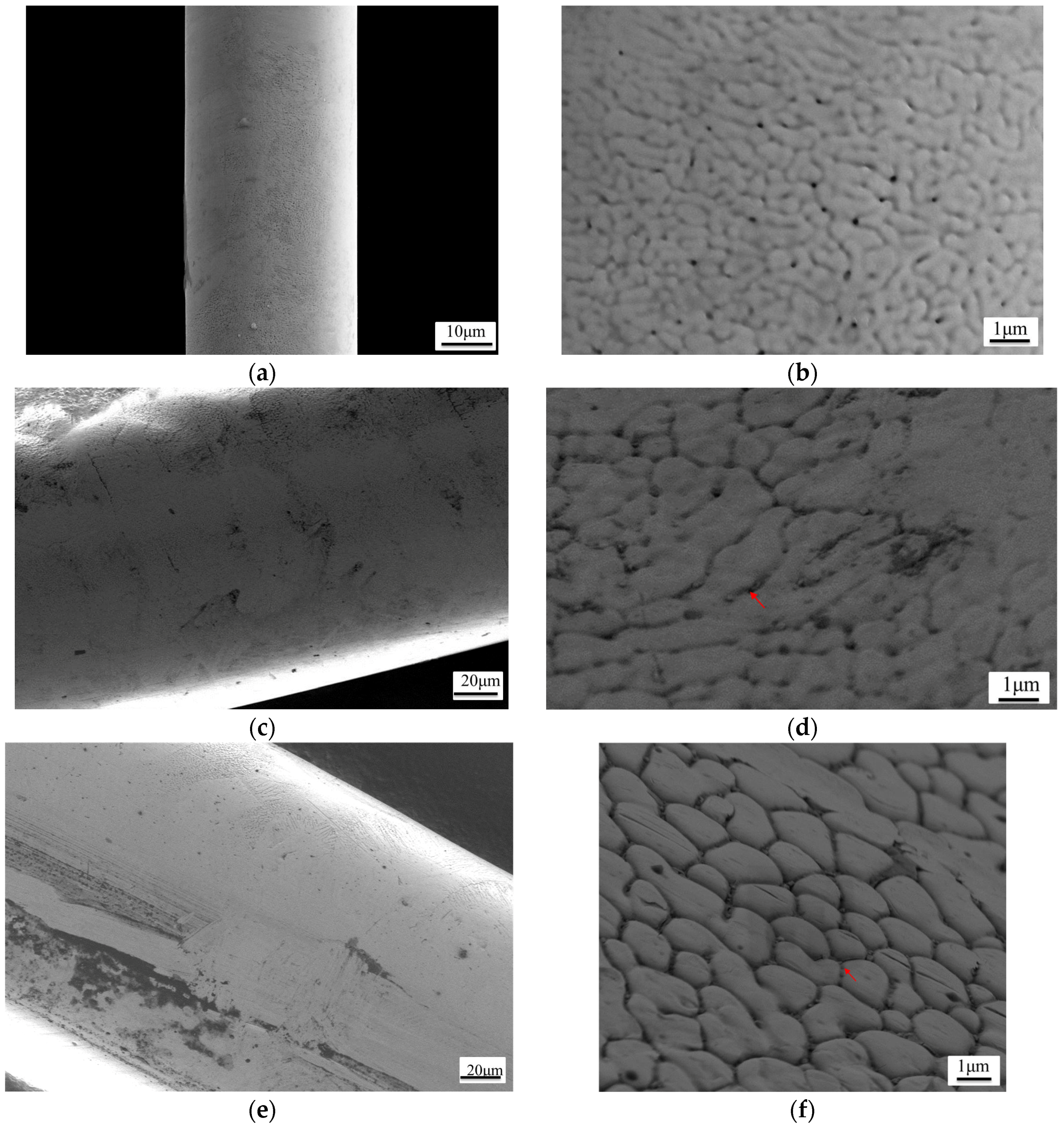 Coatings 07 00005 g003