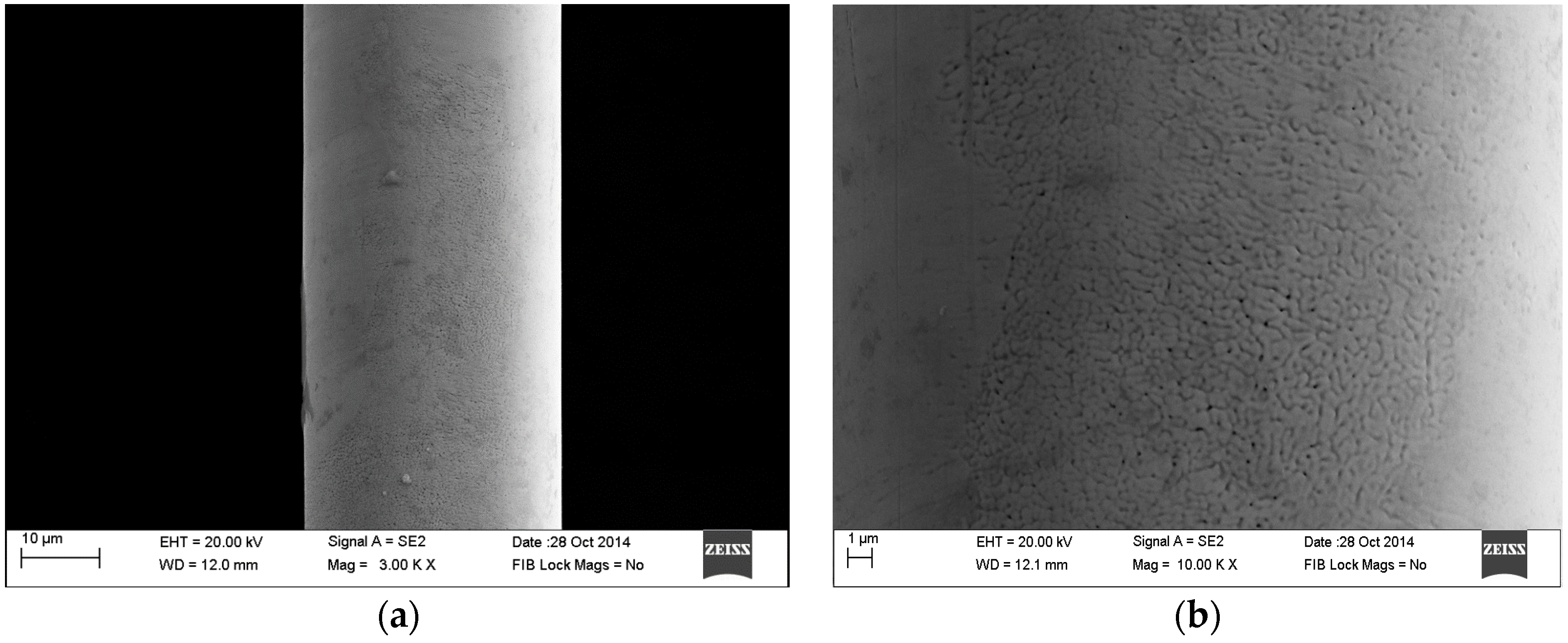 Coatings 07 00005 g004