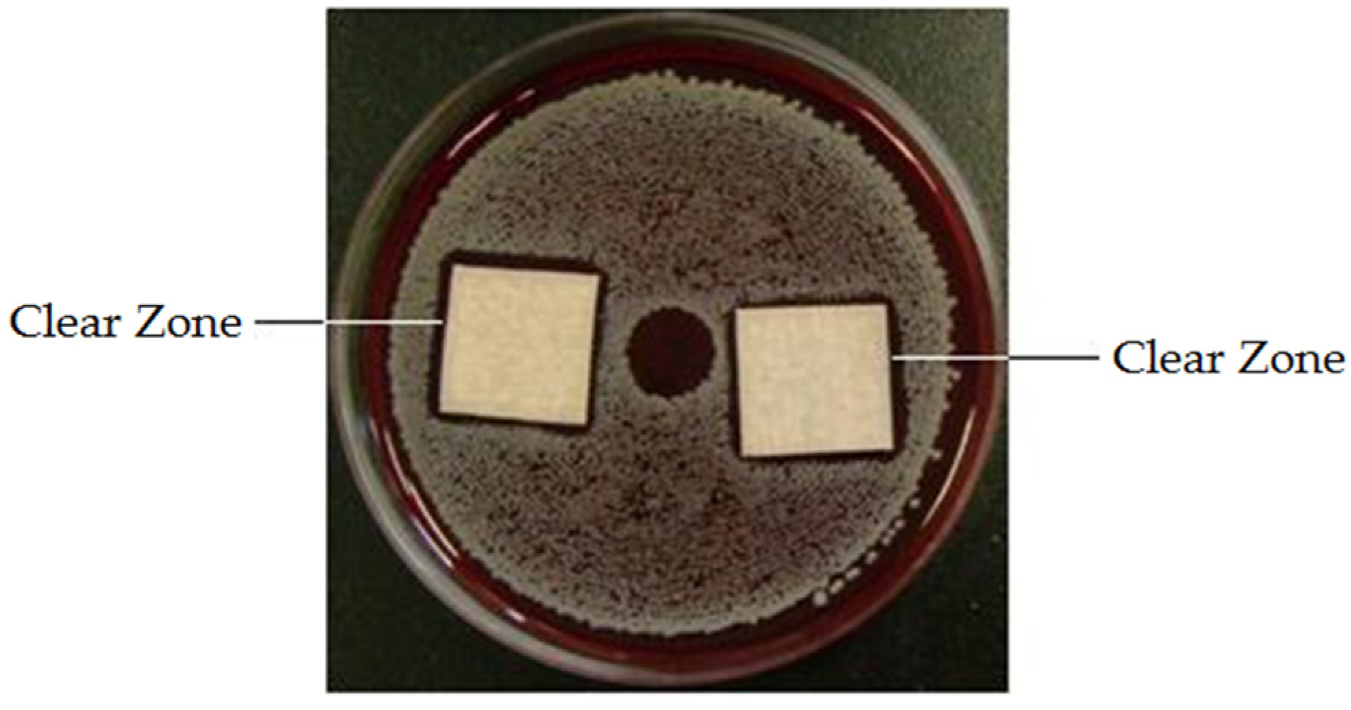 Coatings 07 00011 g003