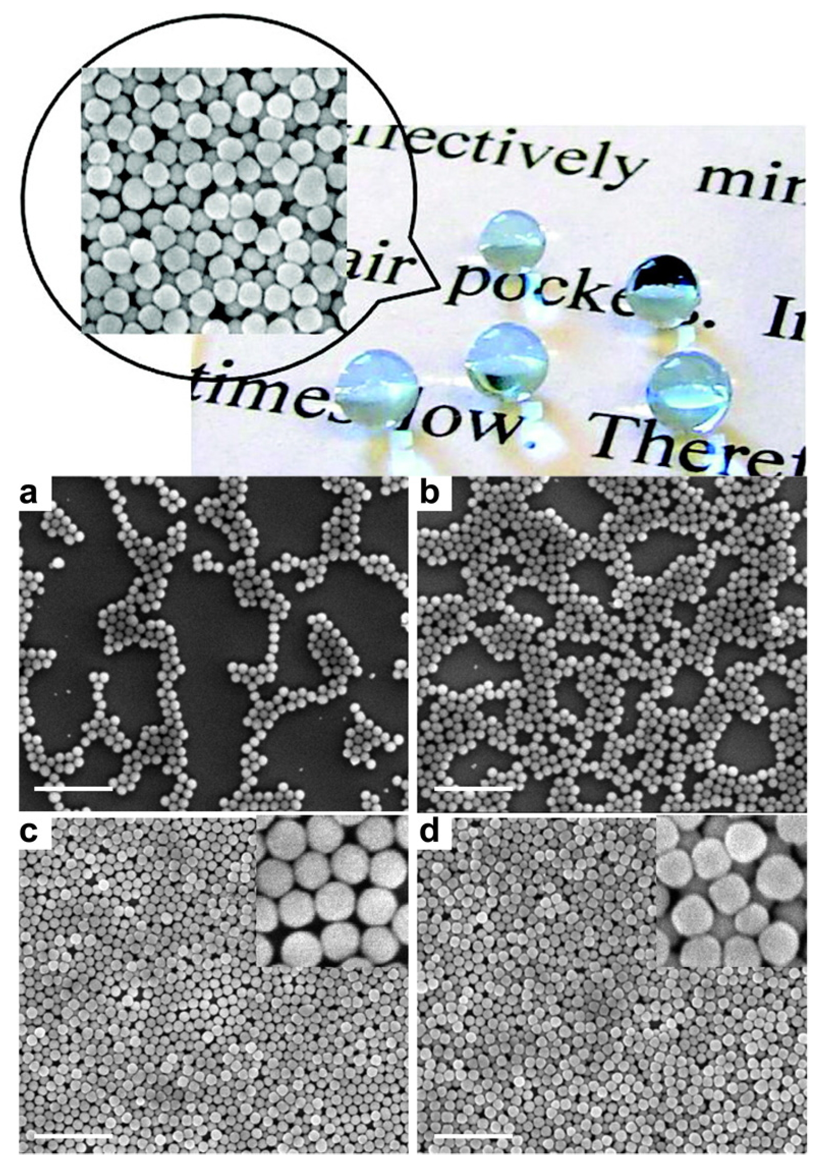 Coatings 07 00012 g004