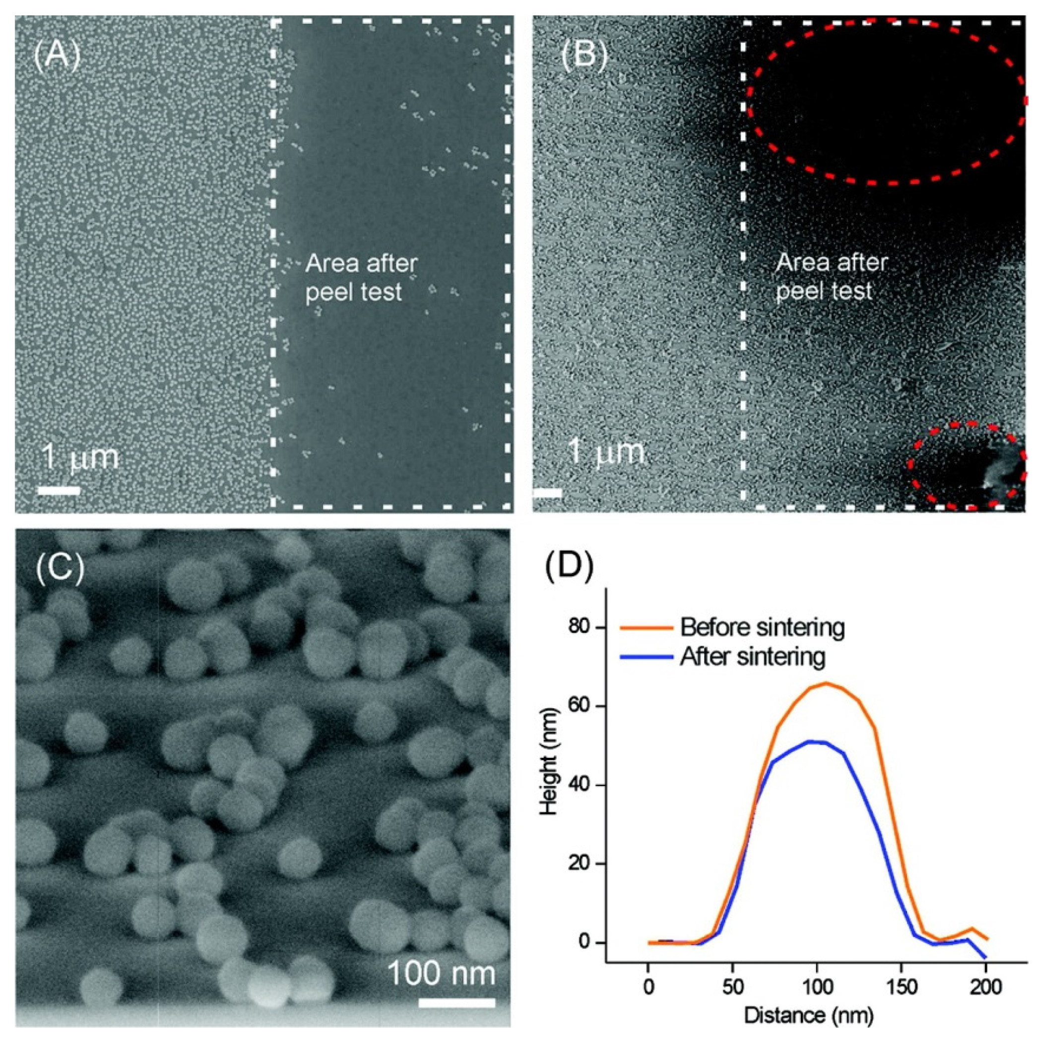 Coatings 07 00012 g006