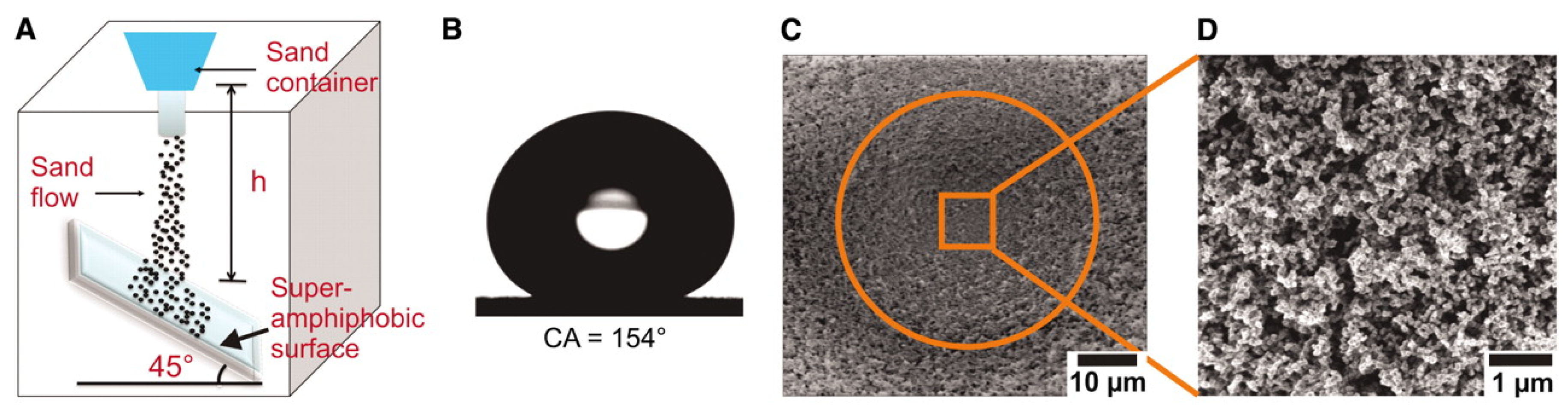 Coatings 07 00012 g010