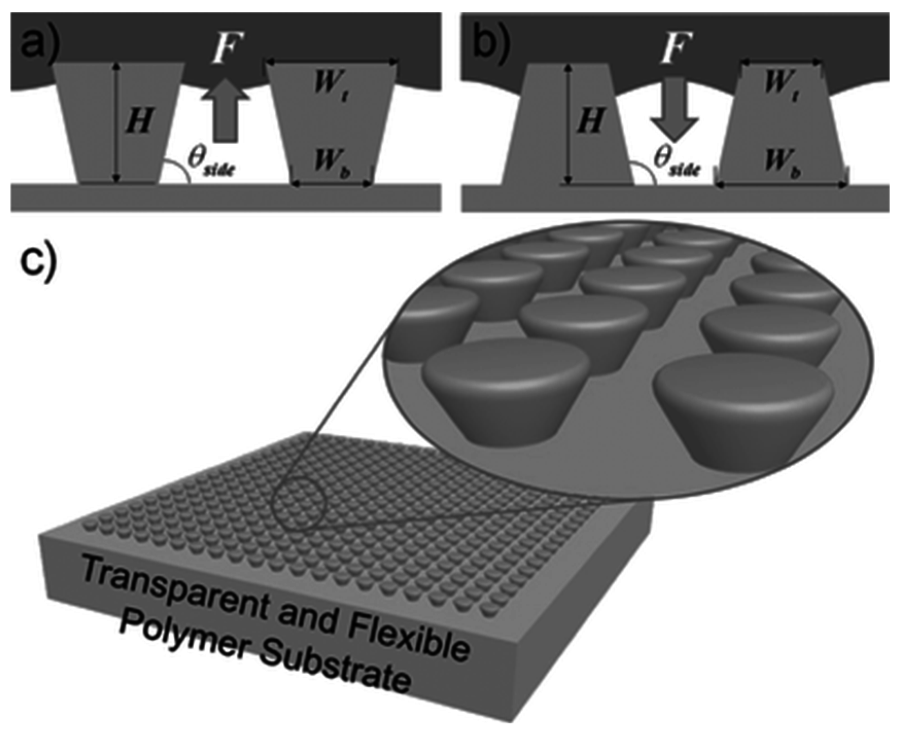 Coatings 07 00012 g013
