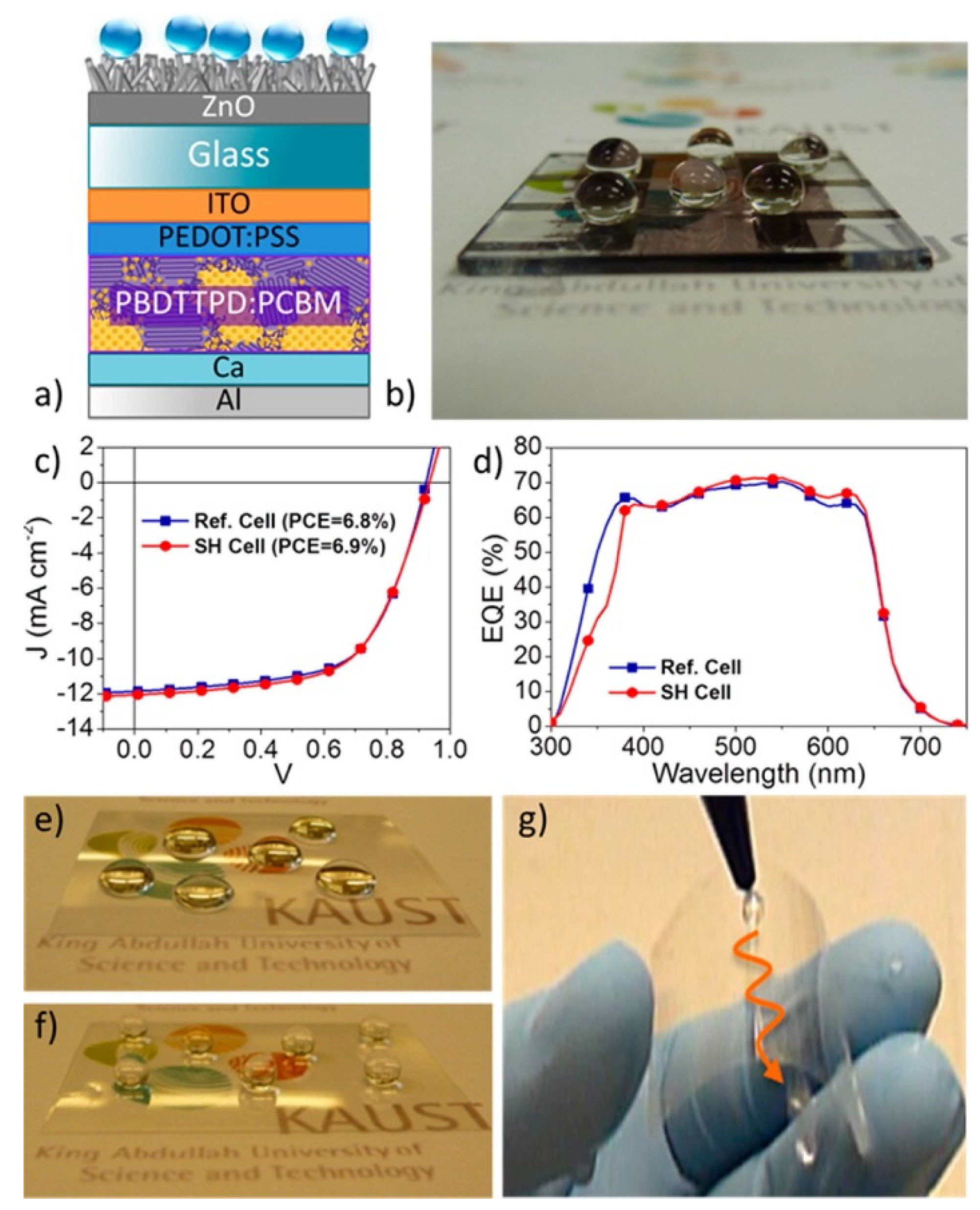 Coatings 07 00012 g015