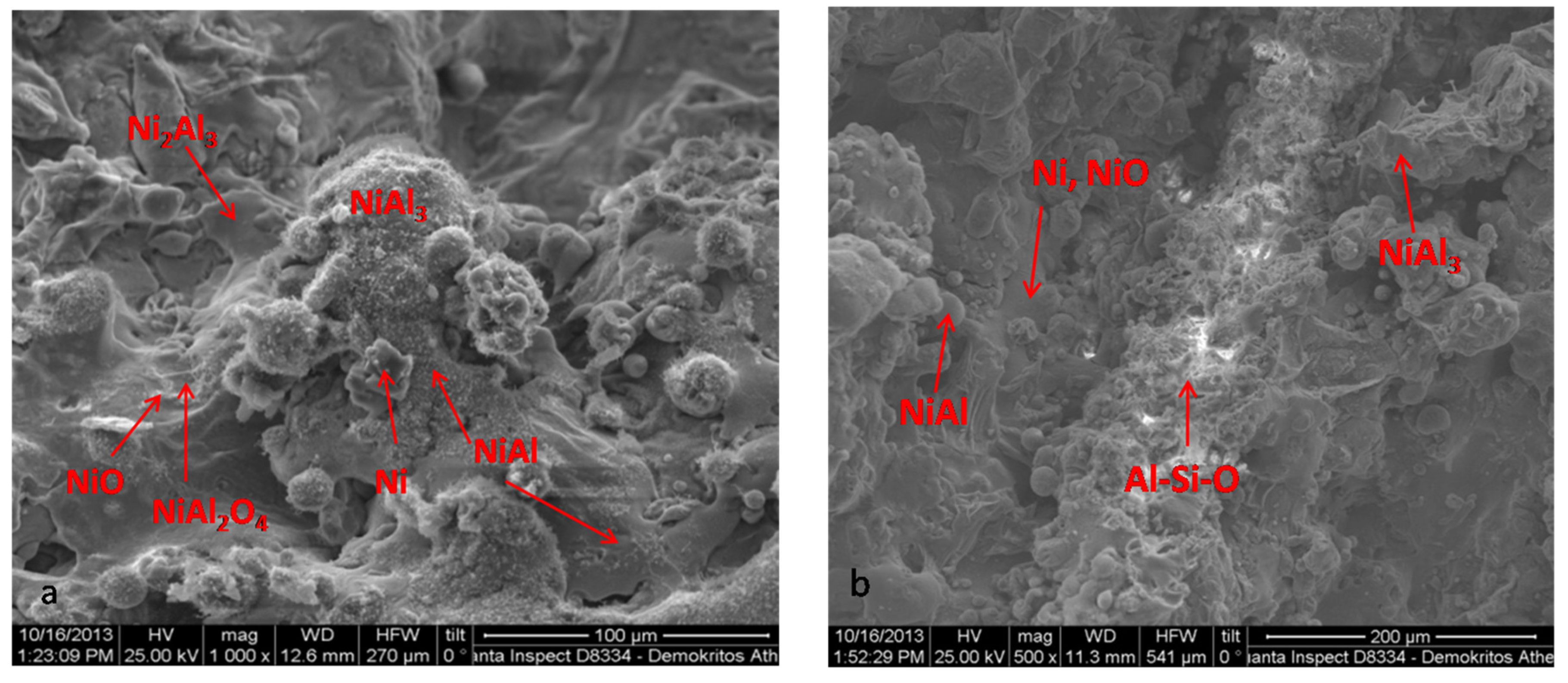 Coatings 07 00014 g005