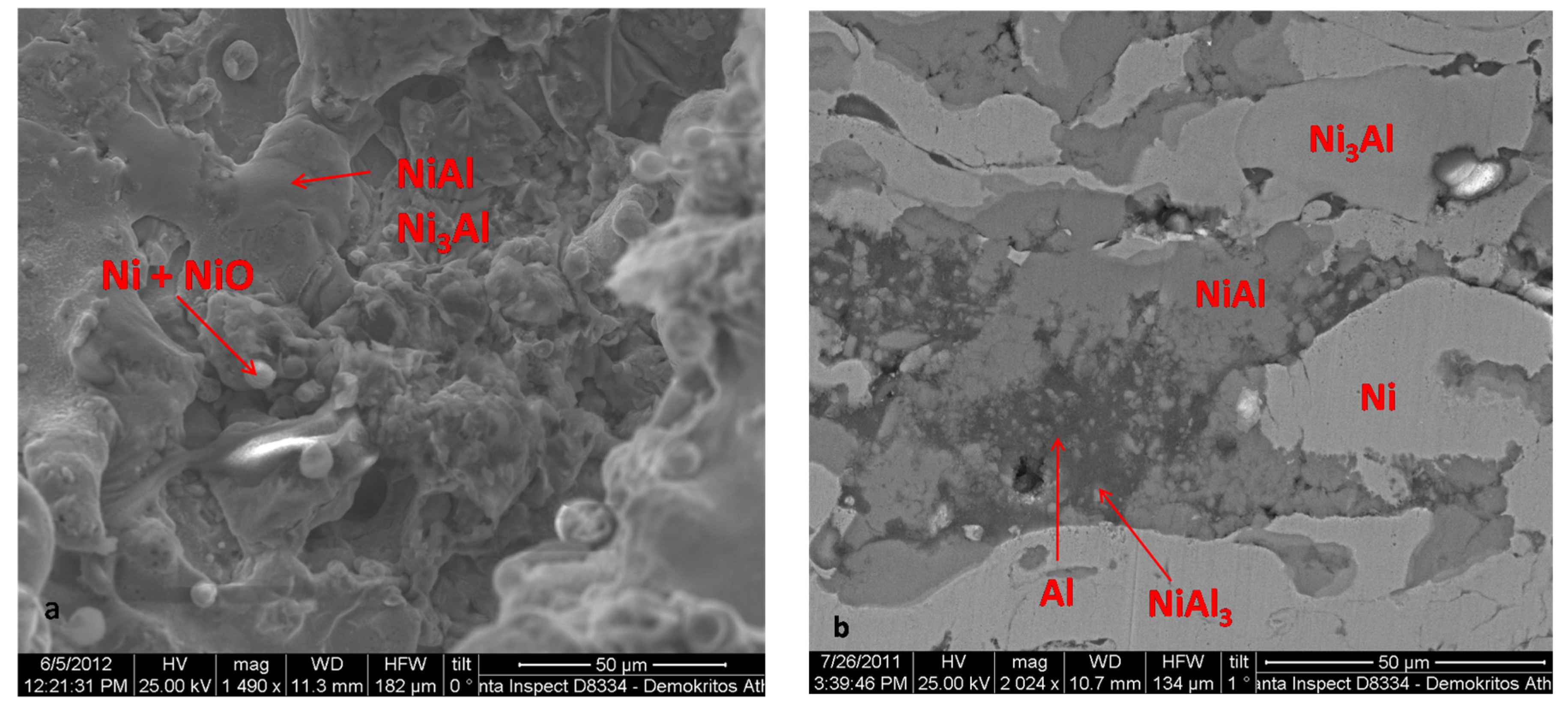 Coatings 07 00014 g006