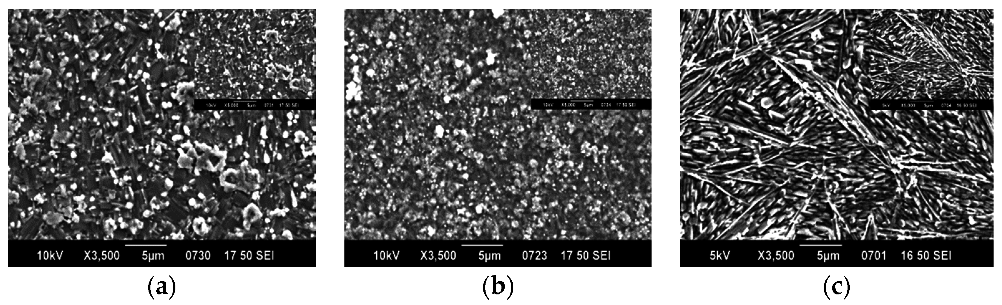 Coatings 07 00024 g004