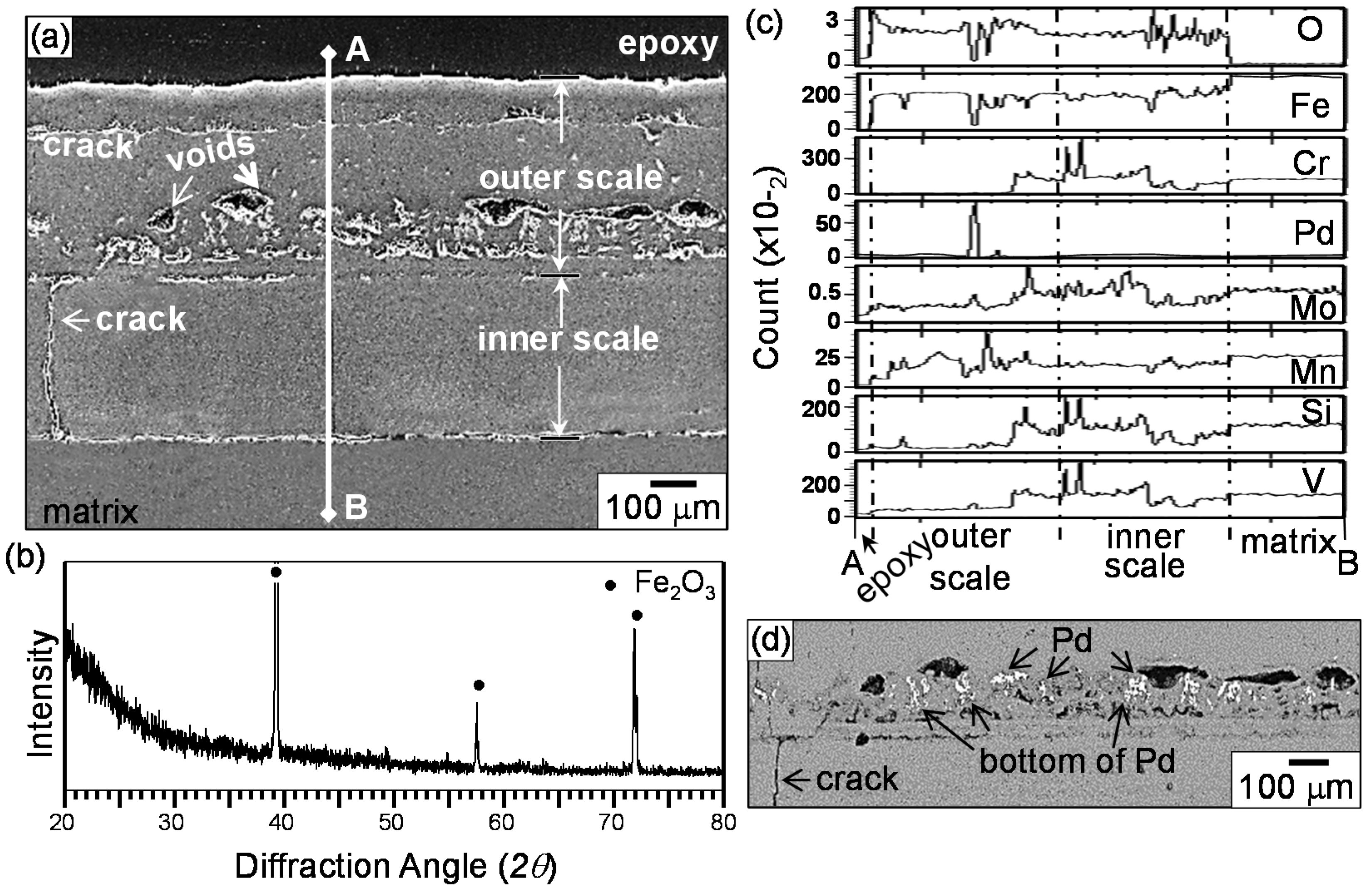 Coatings 07 00031 g008