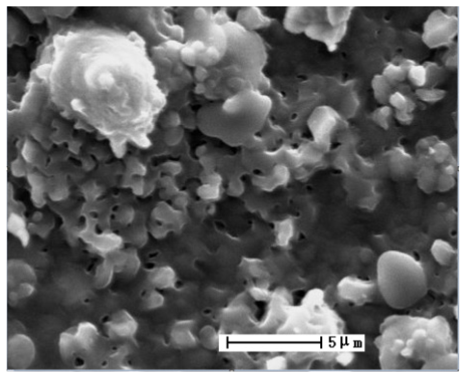 Coatings 07 00032 g005