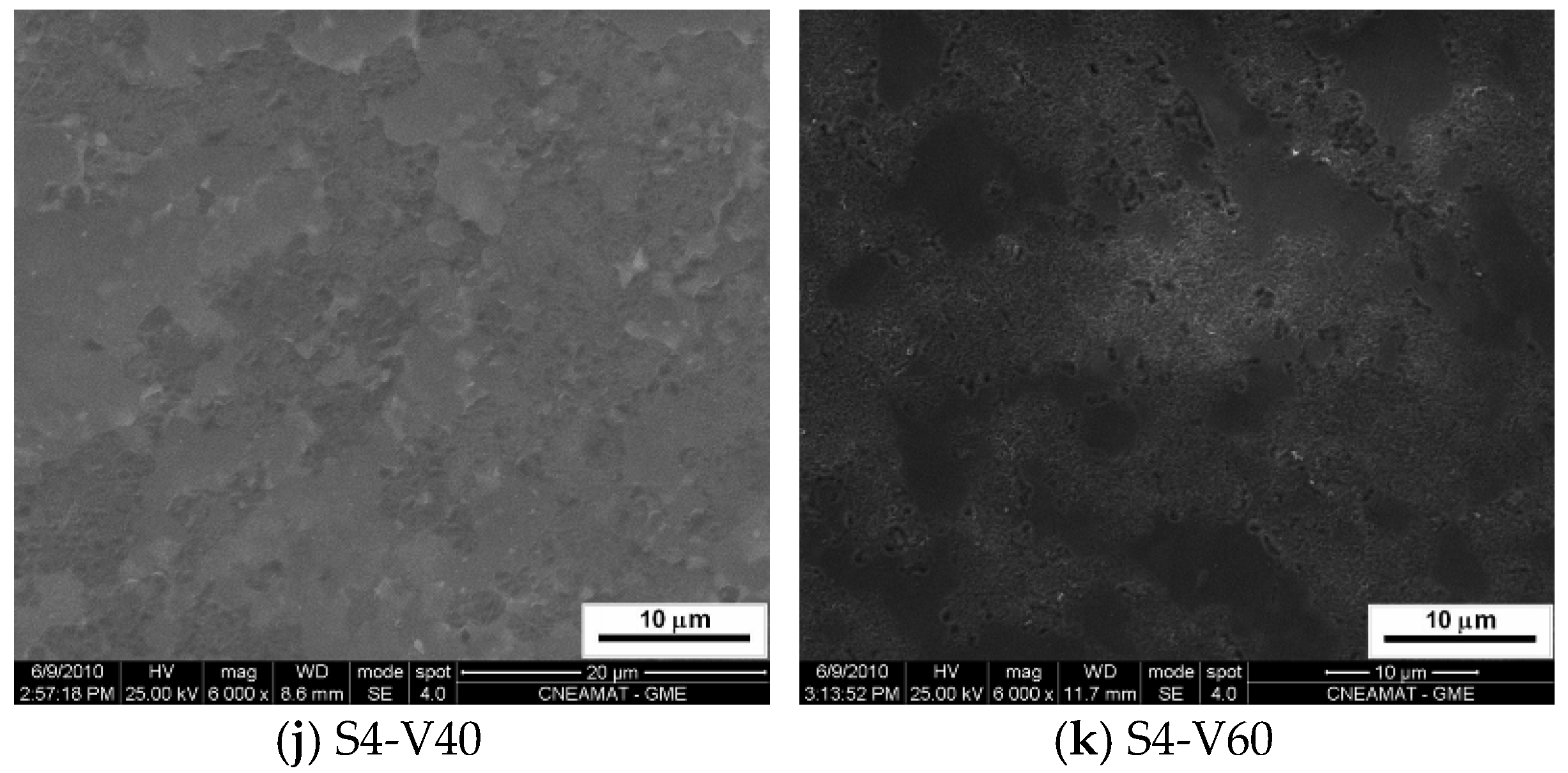 Coatings 07 00039 g003b