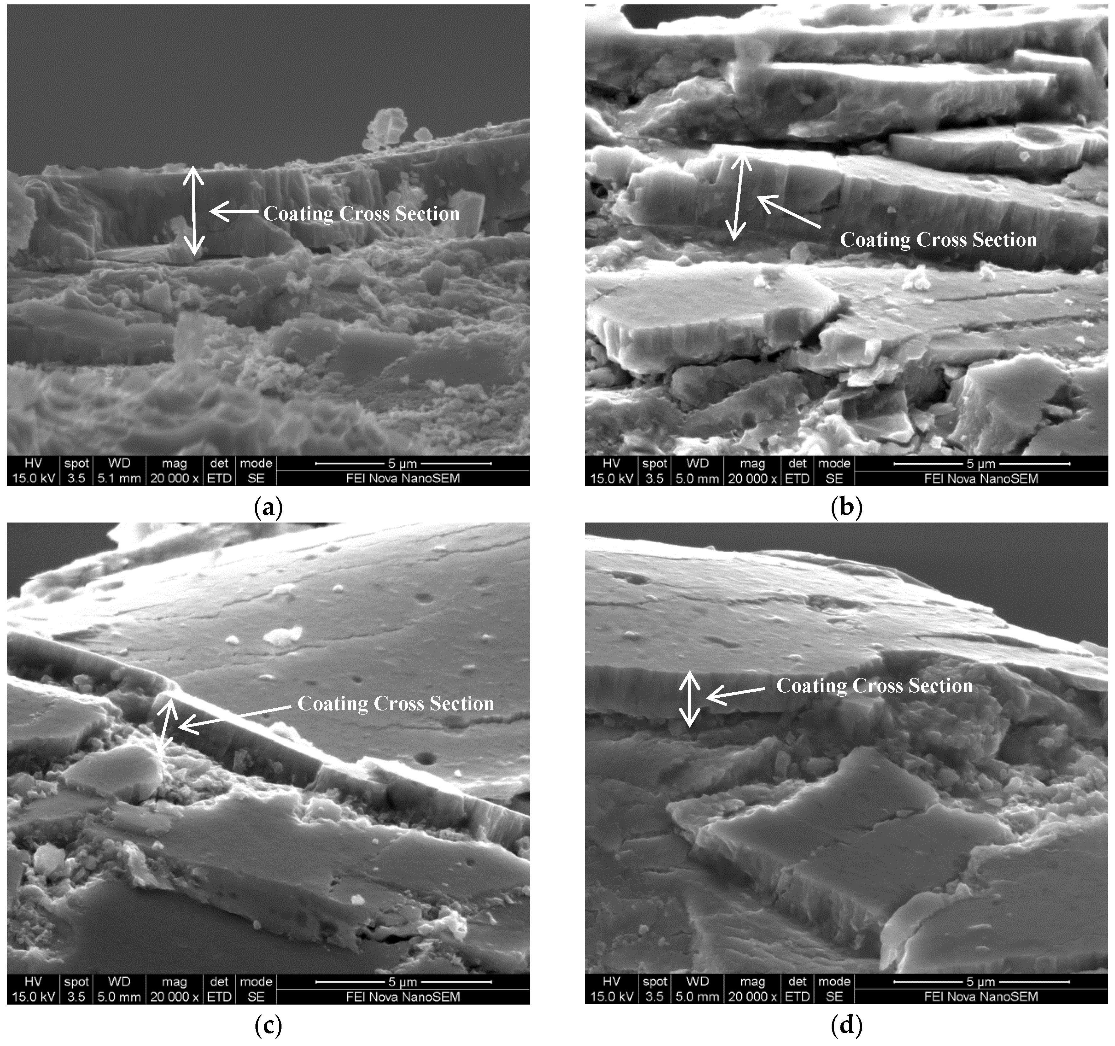 Coatings 07 00050 g004