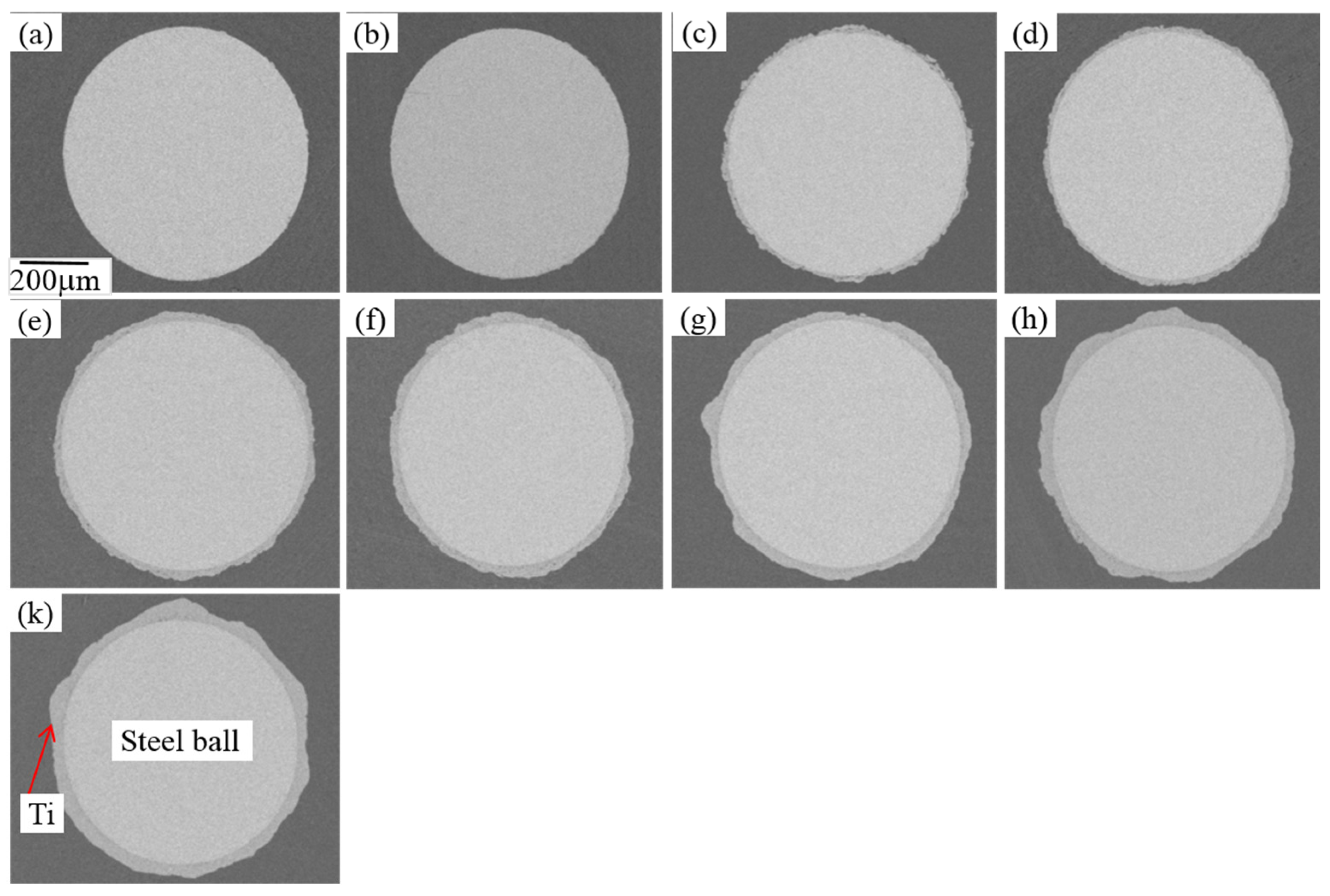 Coatings 07 00053 g003