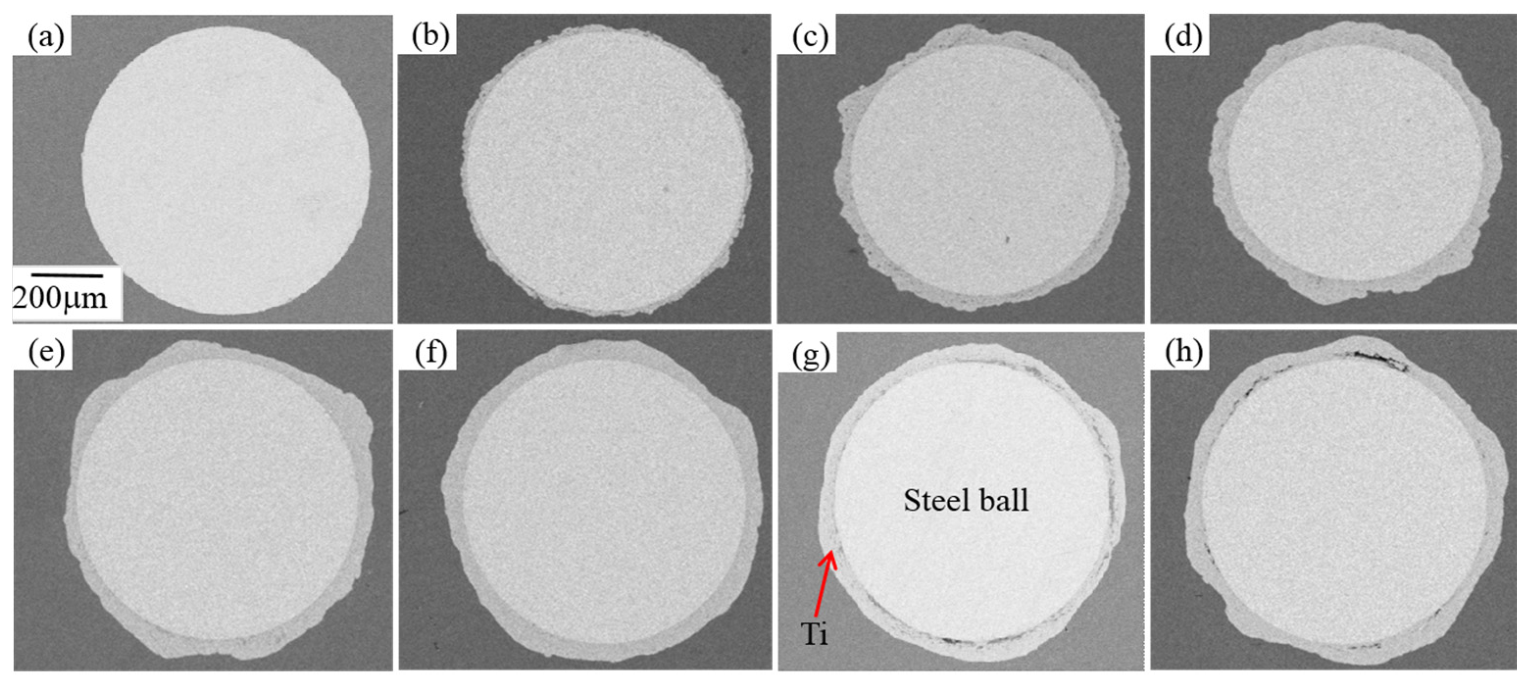 Coatings 07 00053 g004