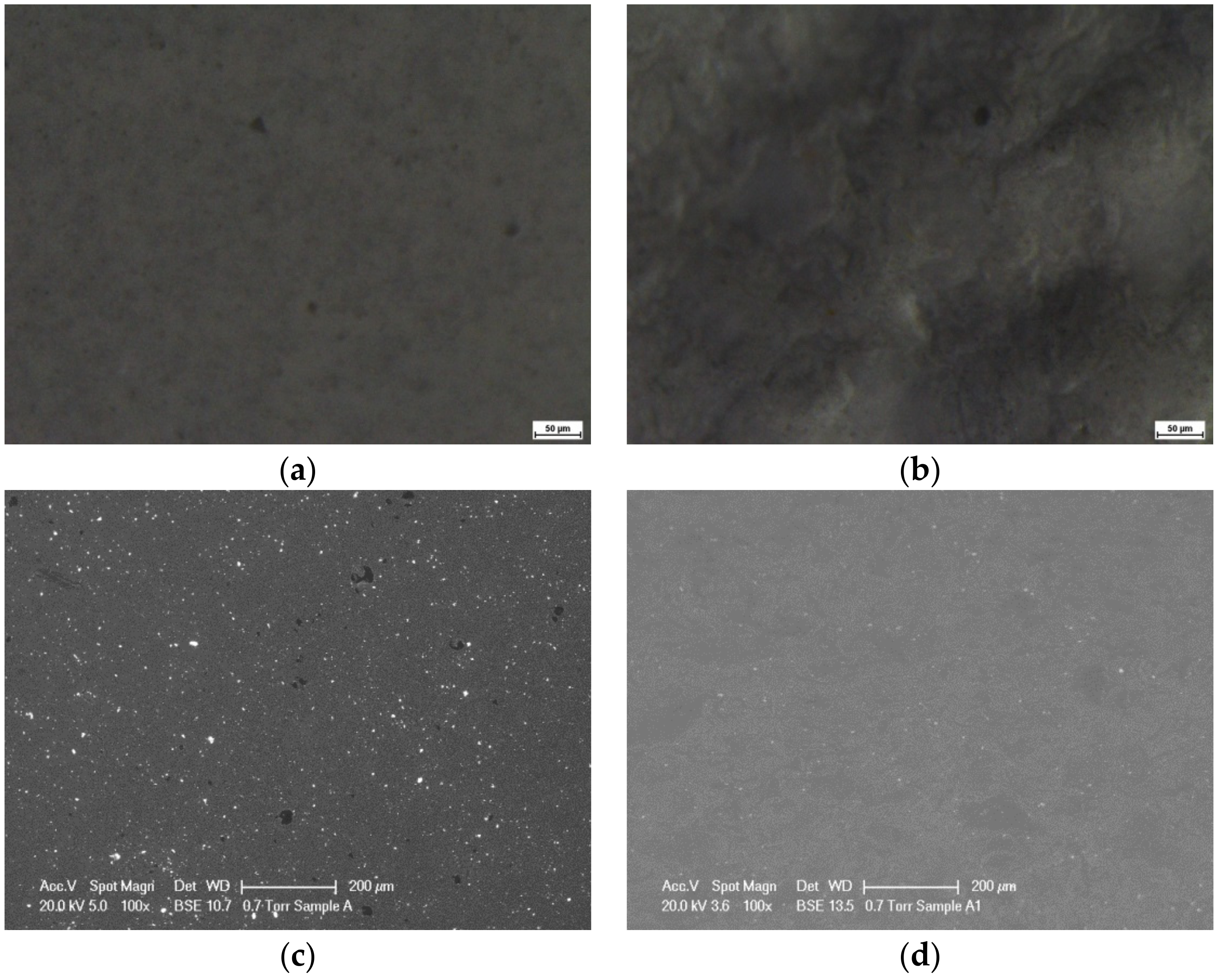 Coatings 07 00067 g001