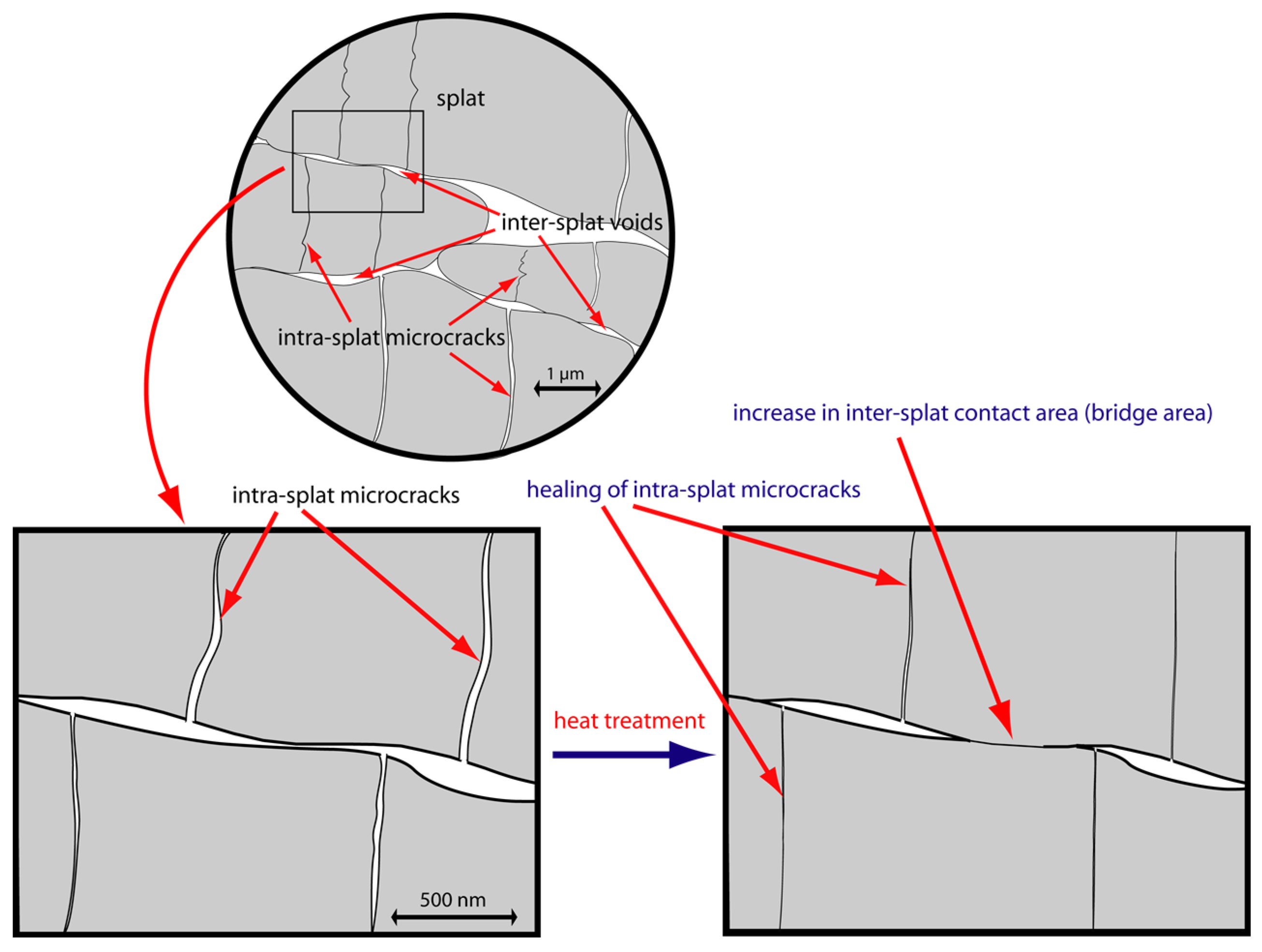 Coatings 07 00068 g011 Coatings 07 00068 g011