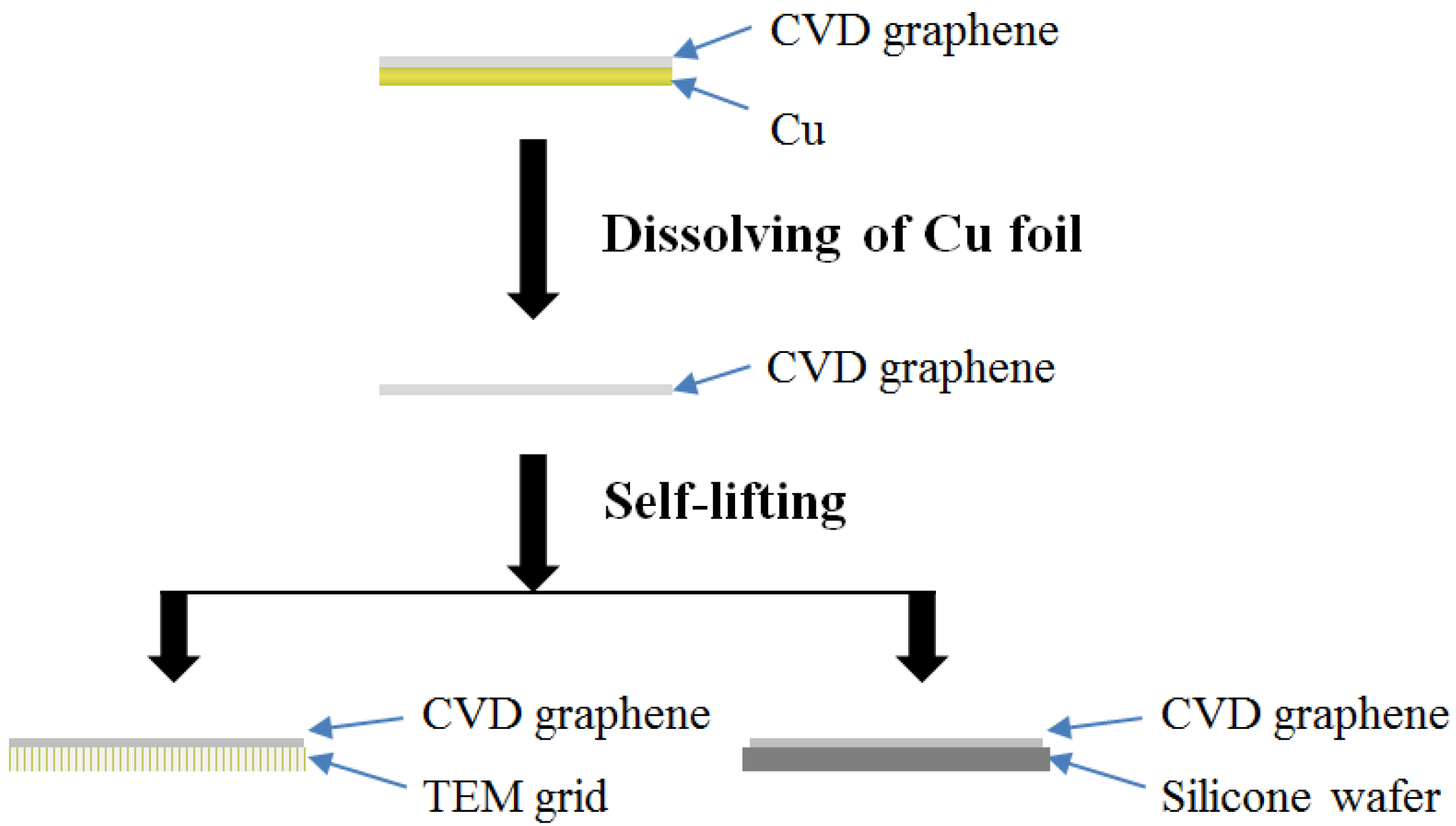 Coatings 07 00072 g002