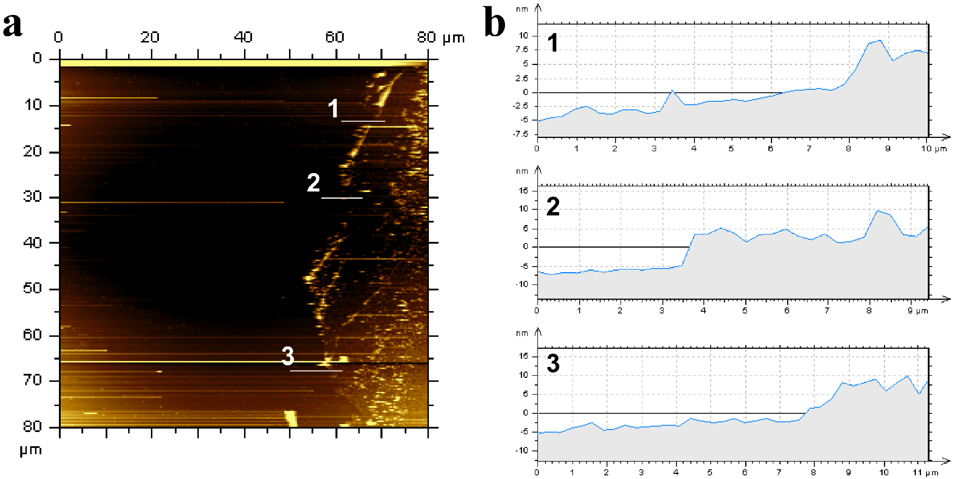 Coatings 07 00072 g005