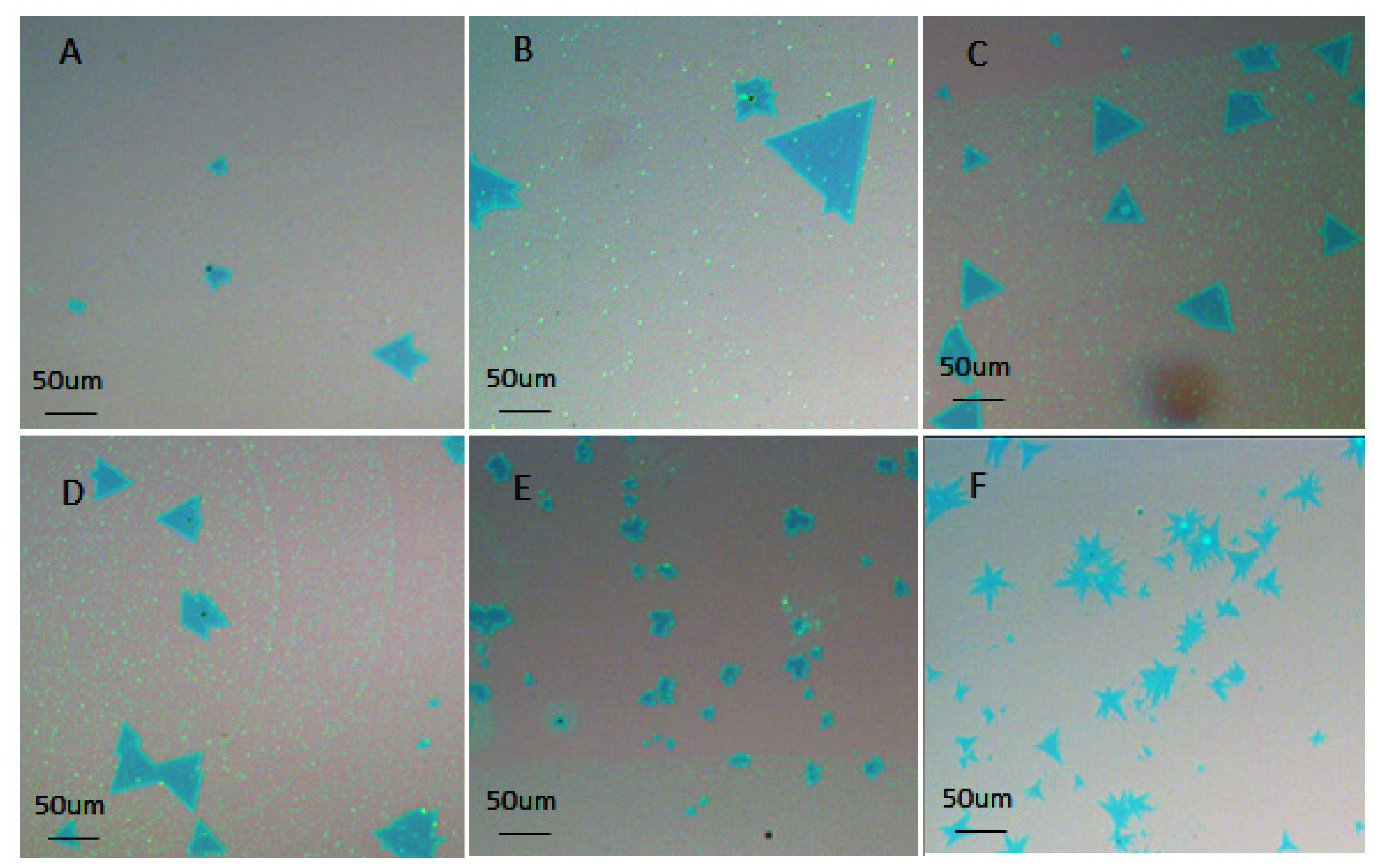 Coatings 07 00078 g002 Coatings 07 00078 g002
