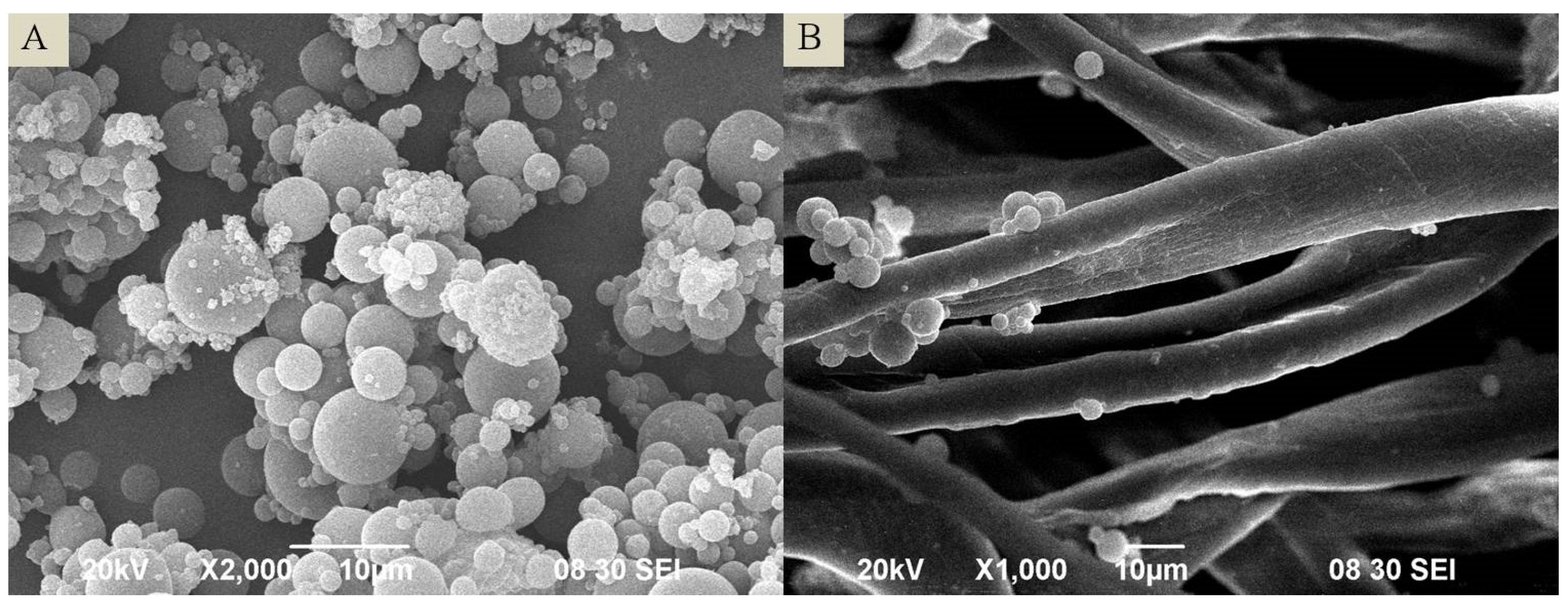 Coatings 07 00082 g003 Coatings 07 00082 g003