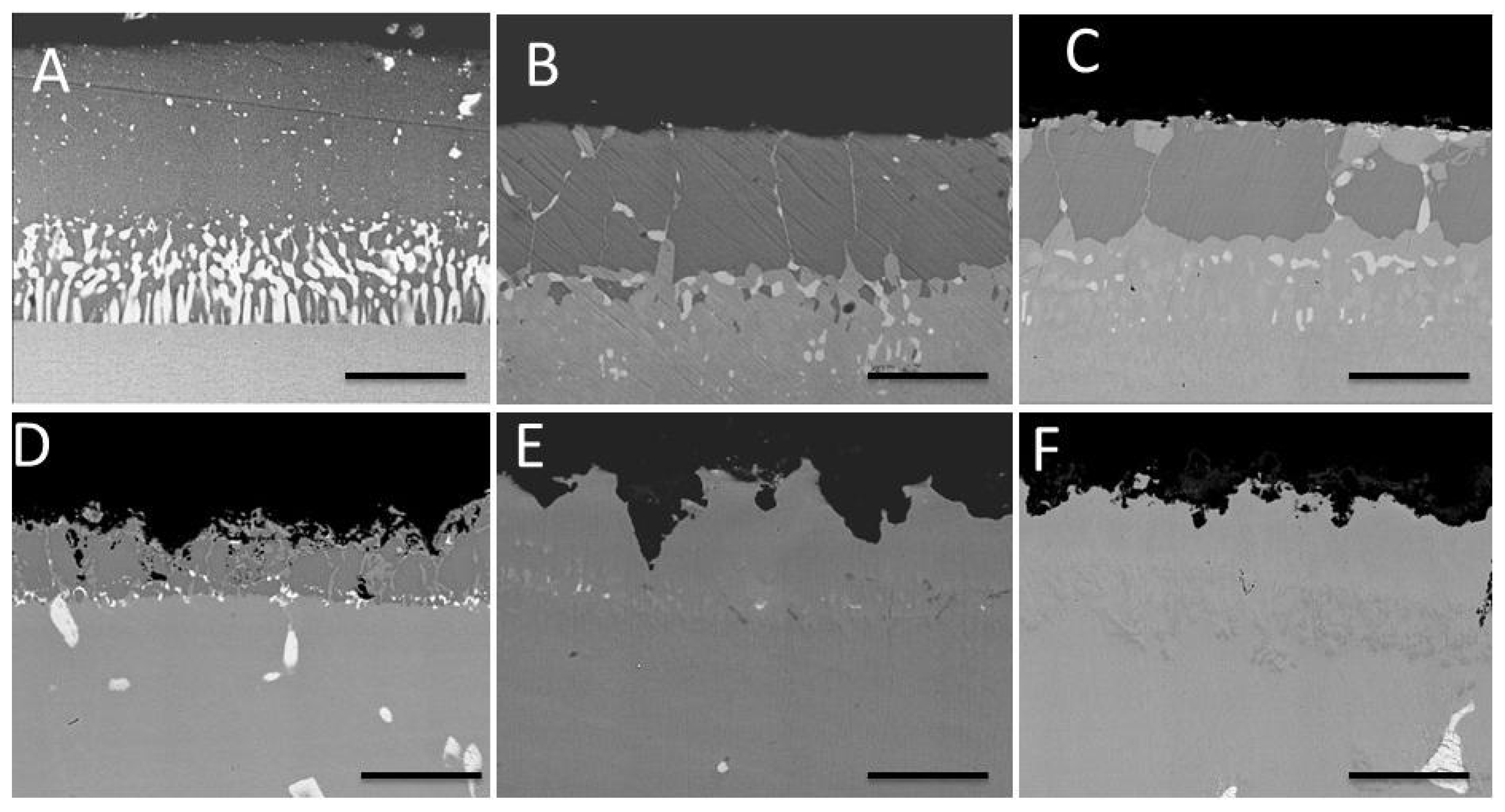 Coatings 07 00083 g002