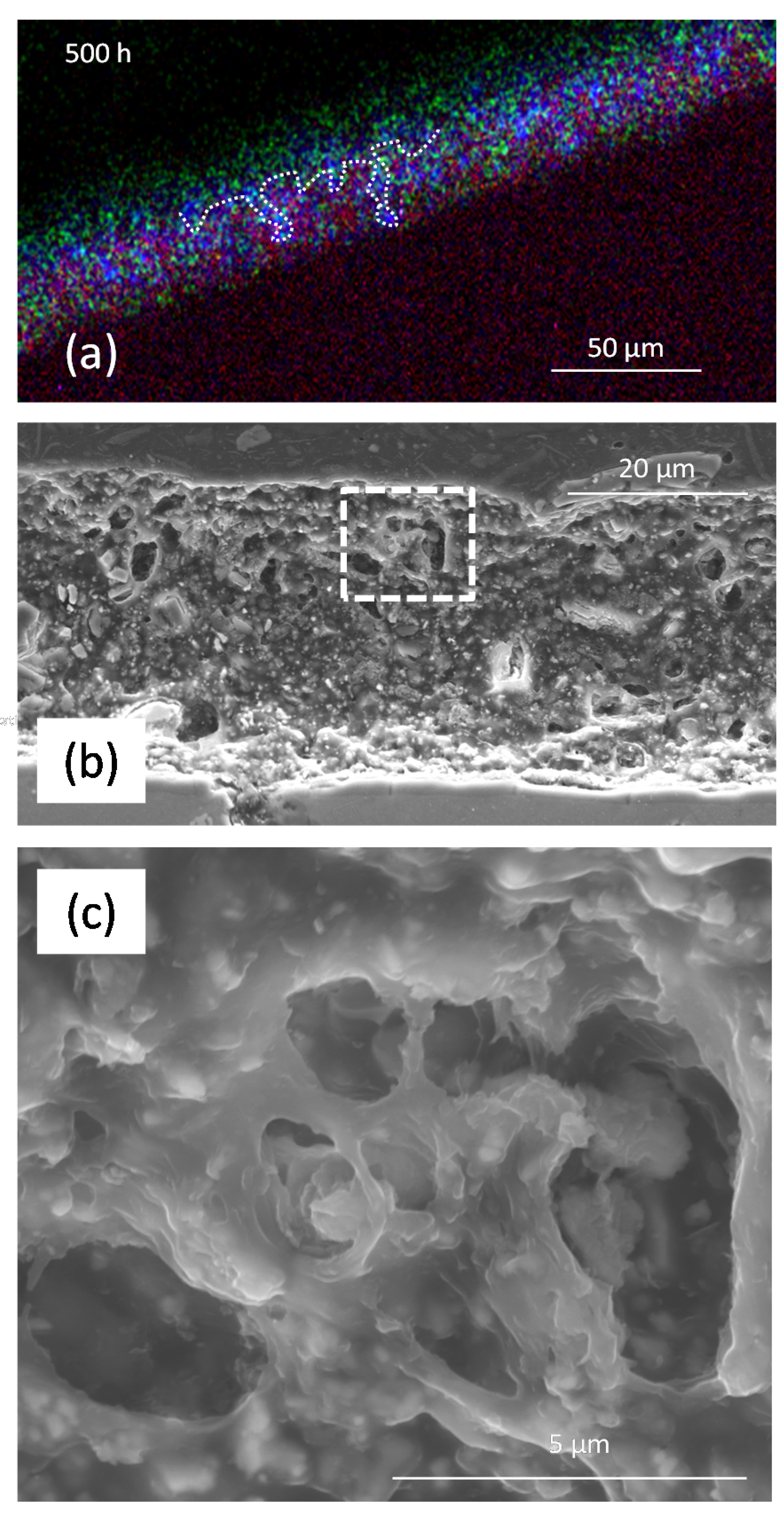 Coatings 07 00106 g014 Coatings 07 00106 g014