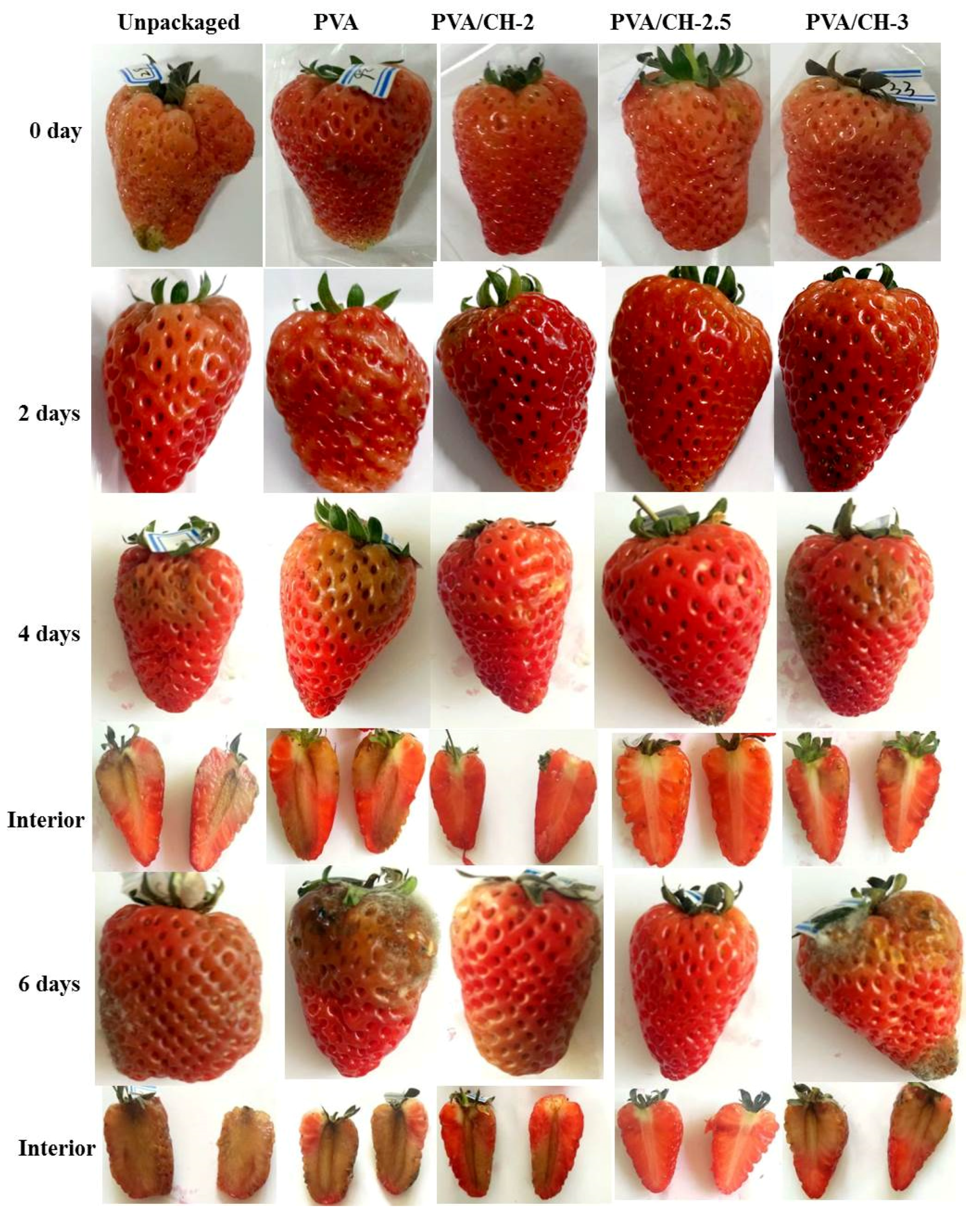 Coatings 07 00109 g005