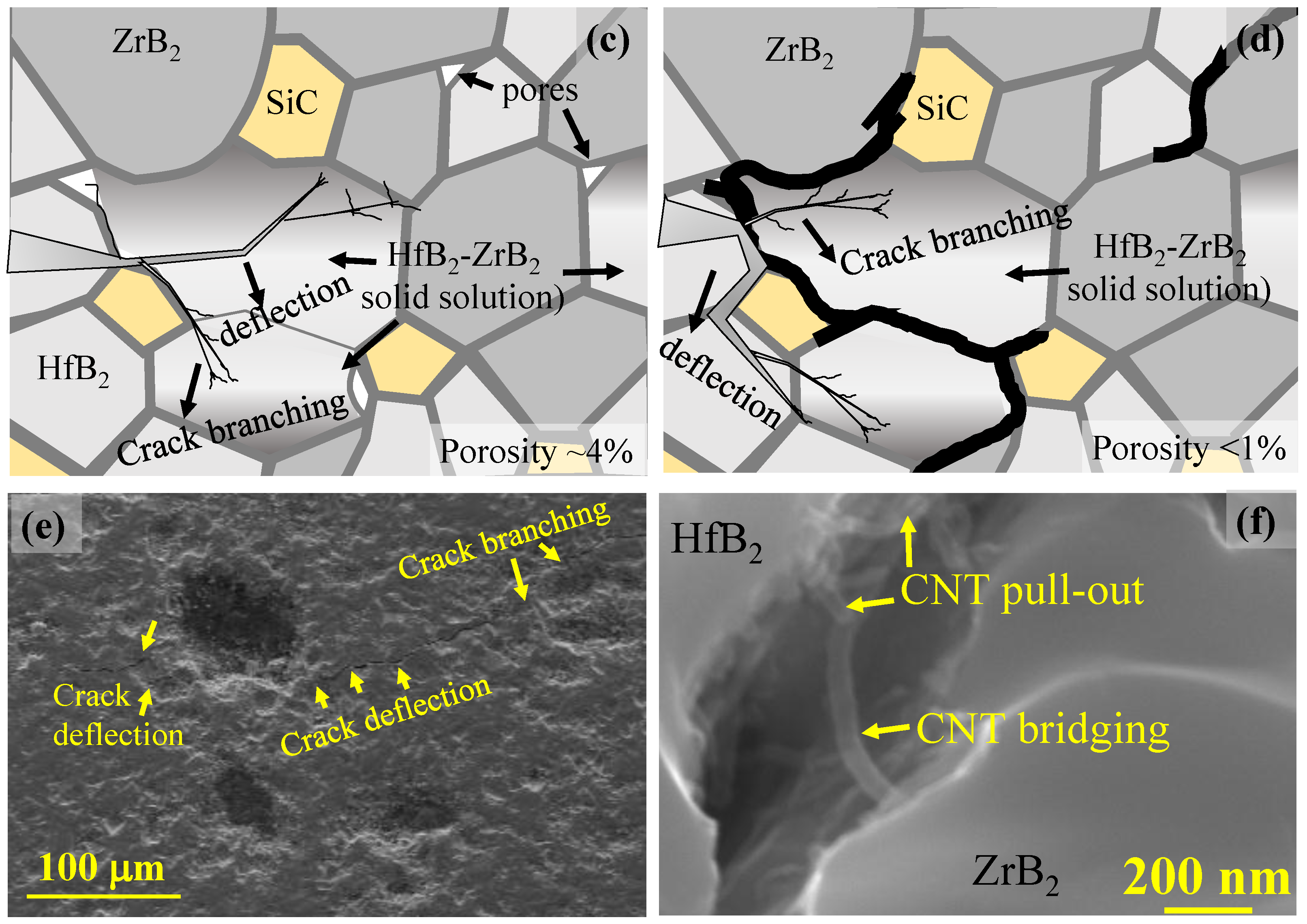 Coatings 07 00110 g007b