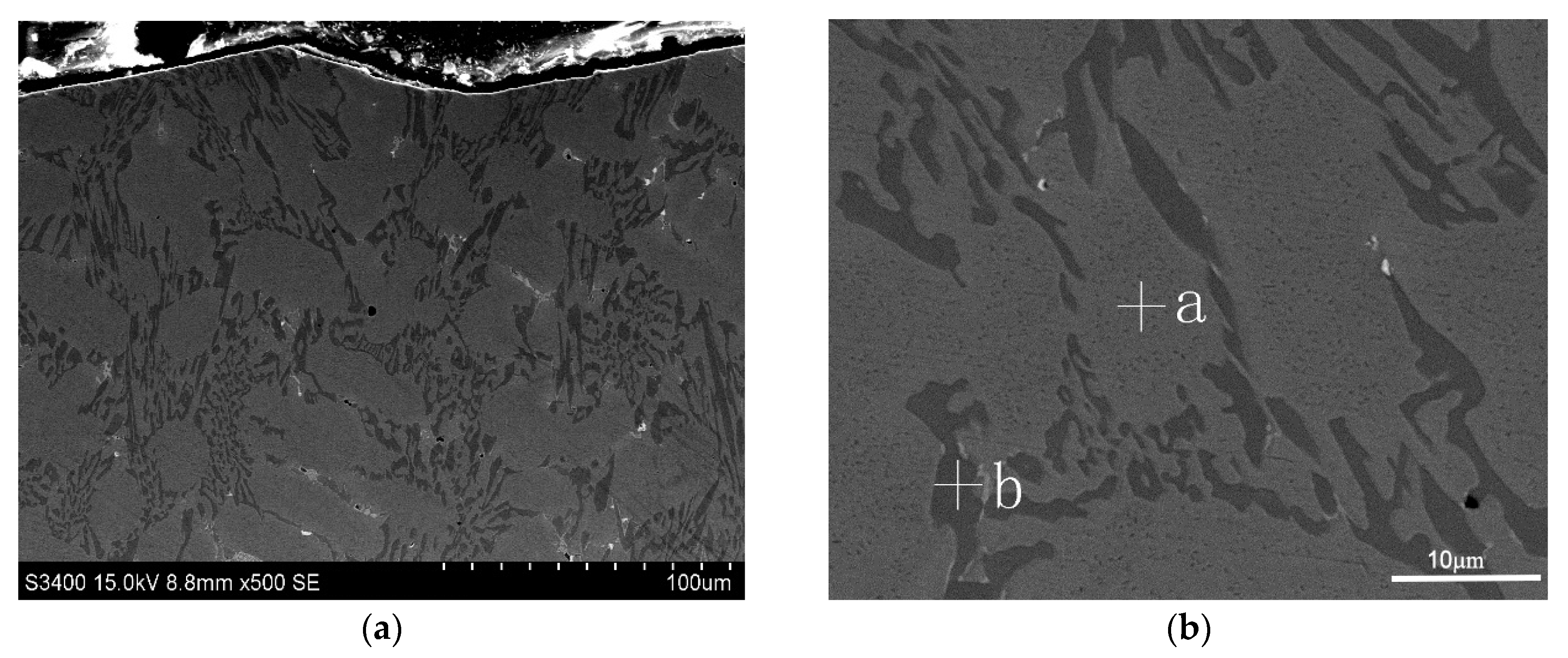 Coatings 07 00113 g004