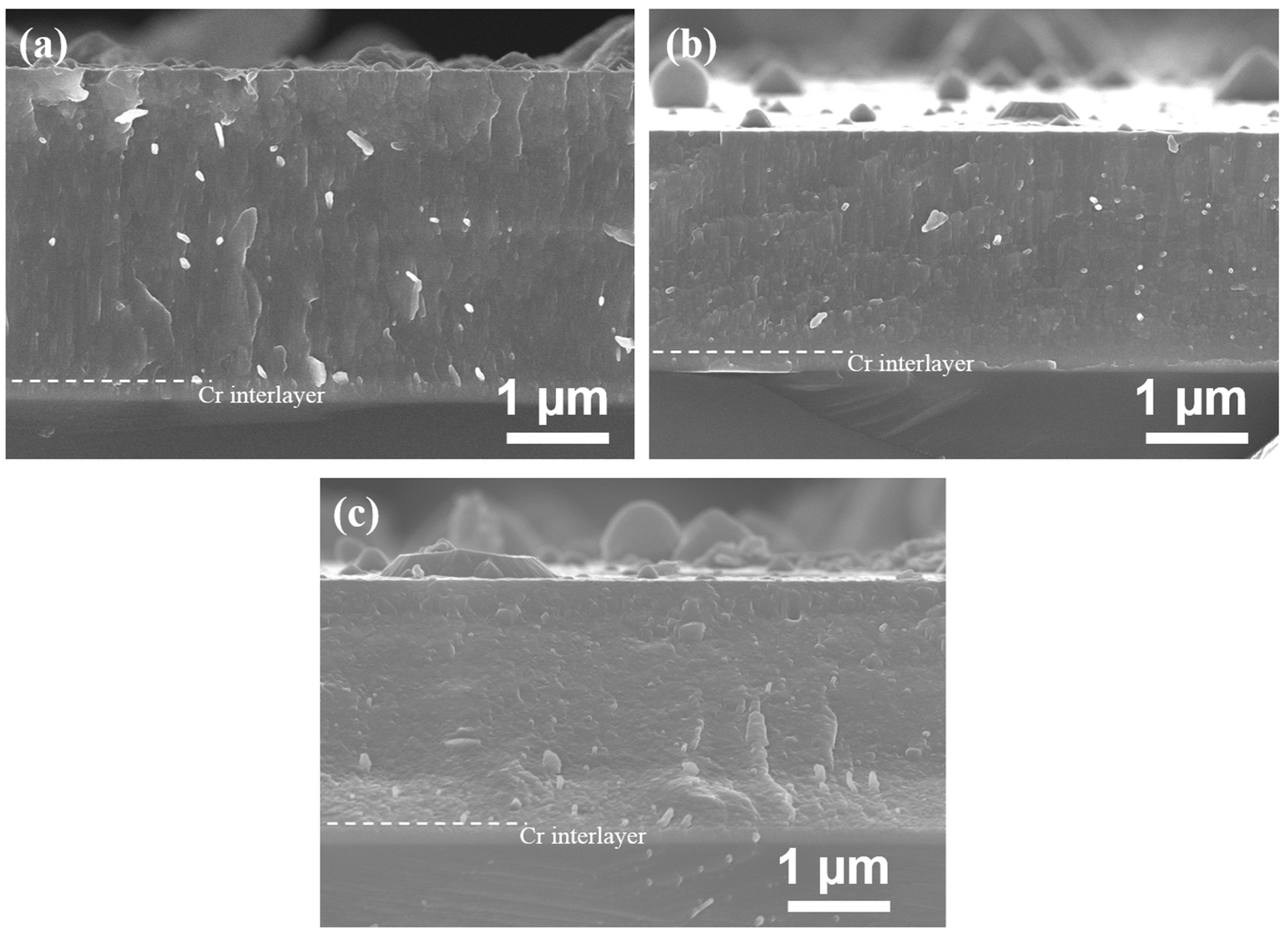 Coatings 07 00119 g004