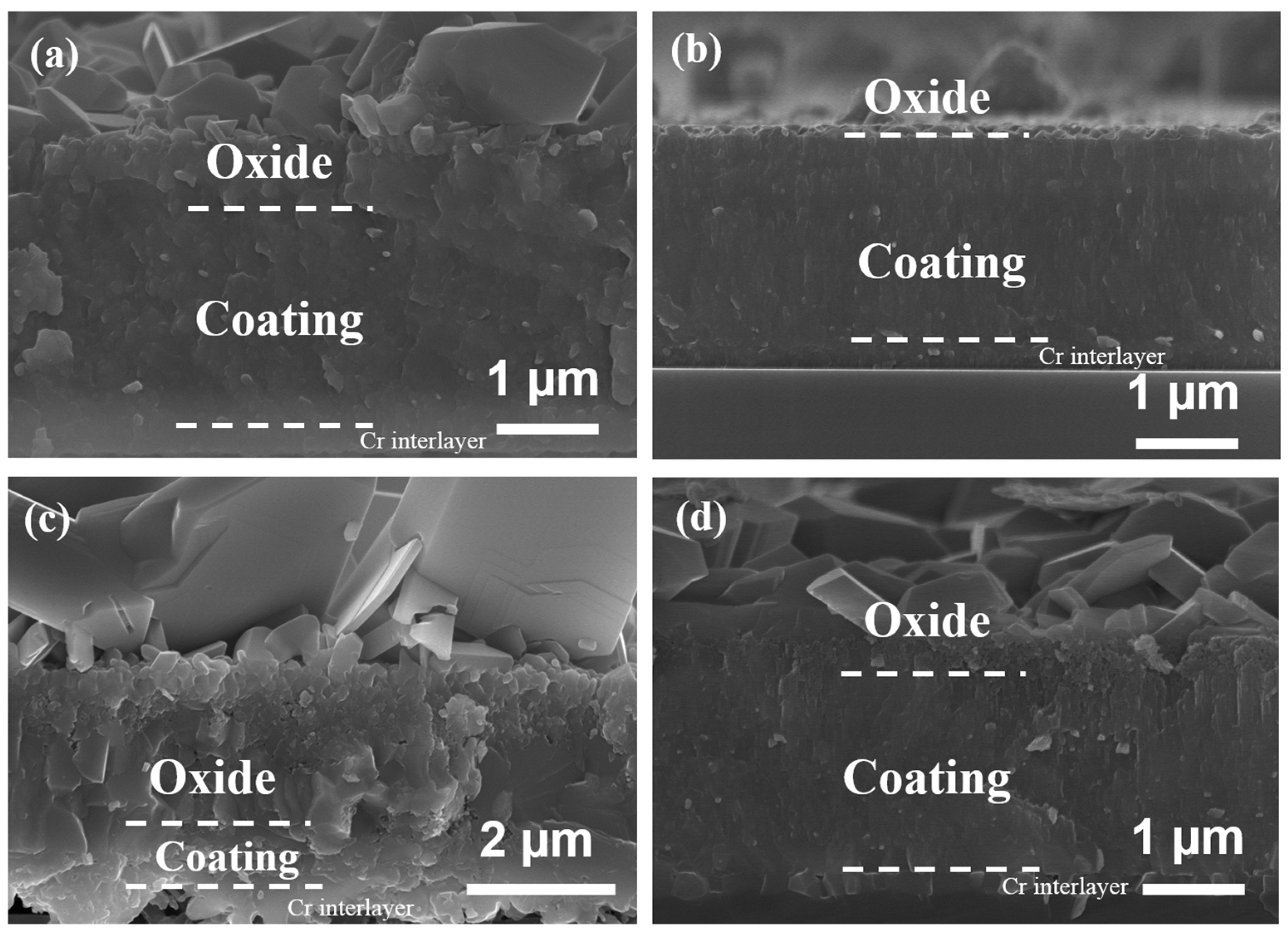 Coatings 07 00119 g012