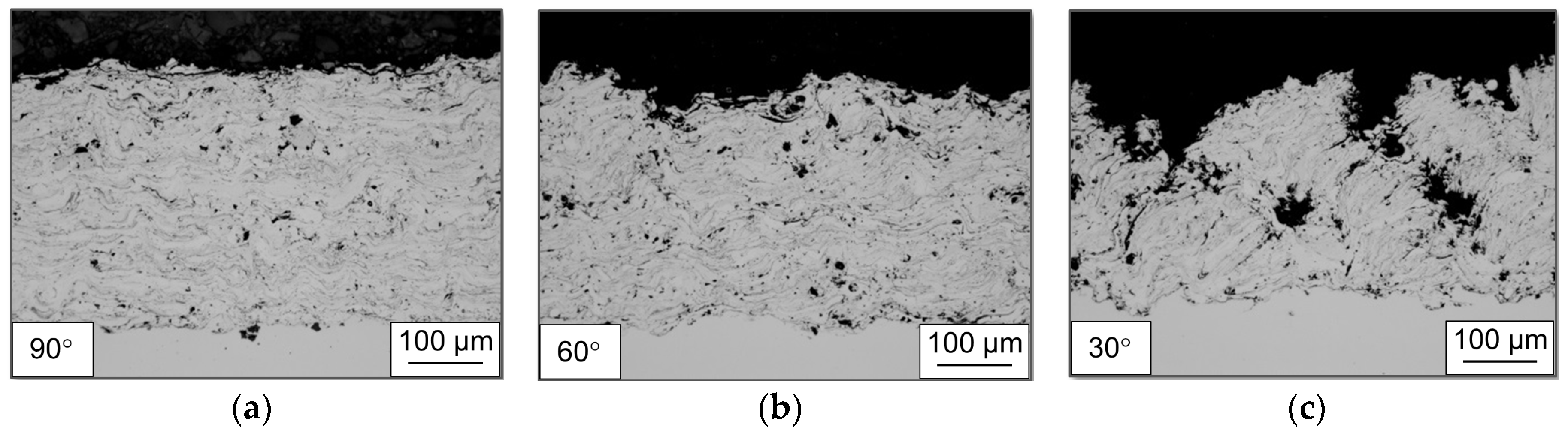 Coatings 07 00125 g004