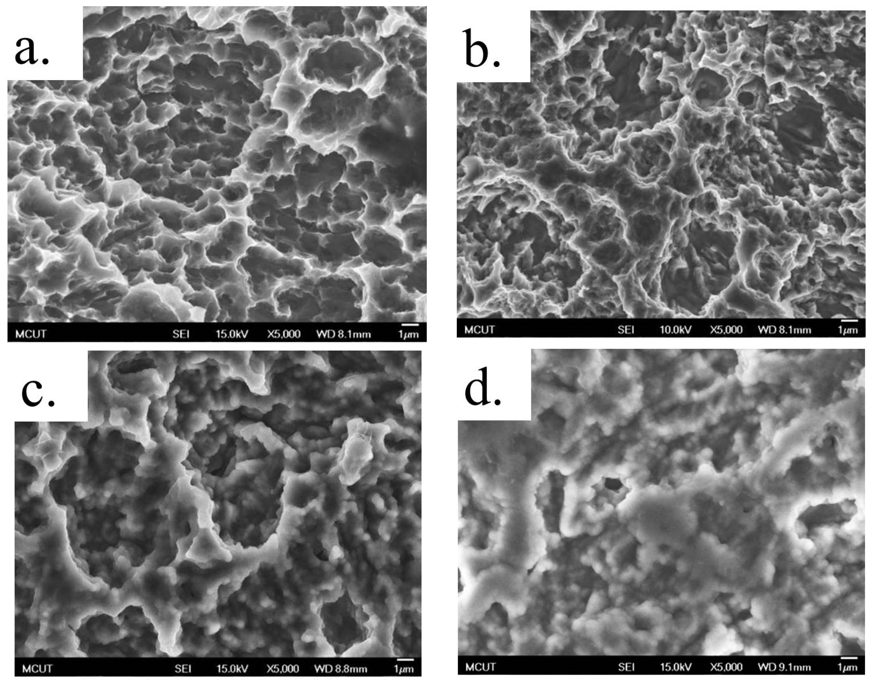 Coatings 07 00126 g007 Coatings 07 00126 g007