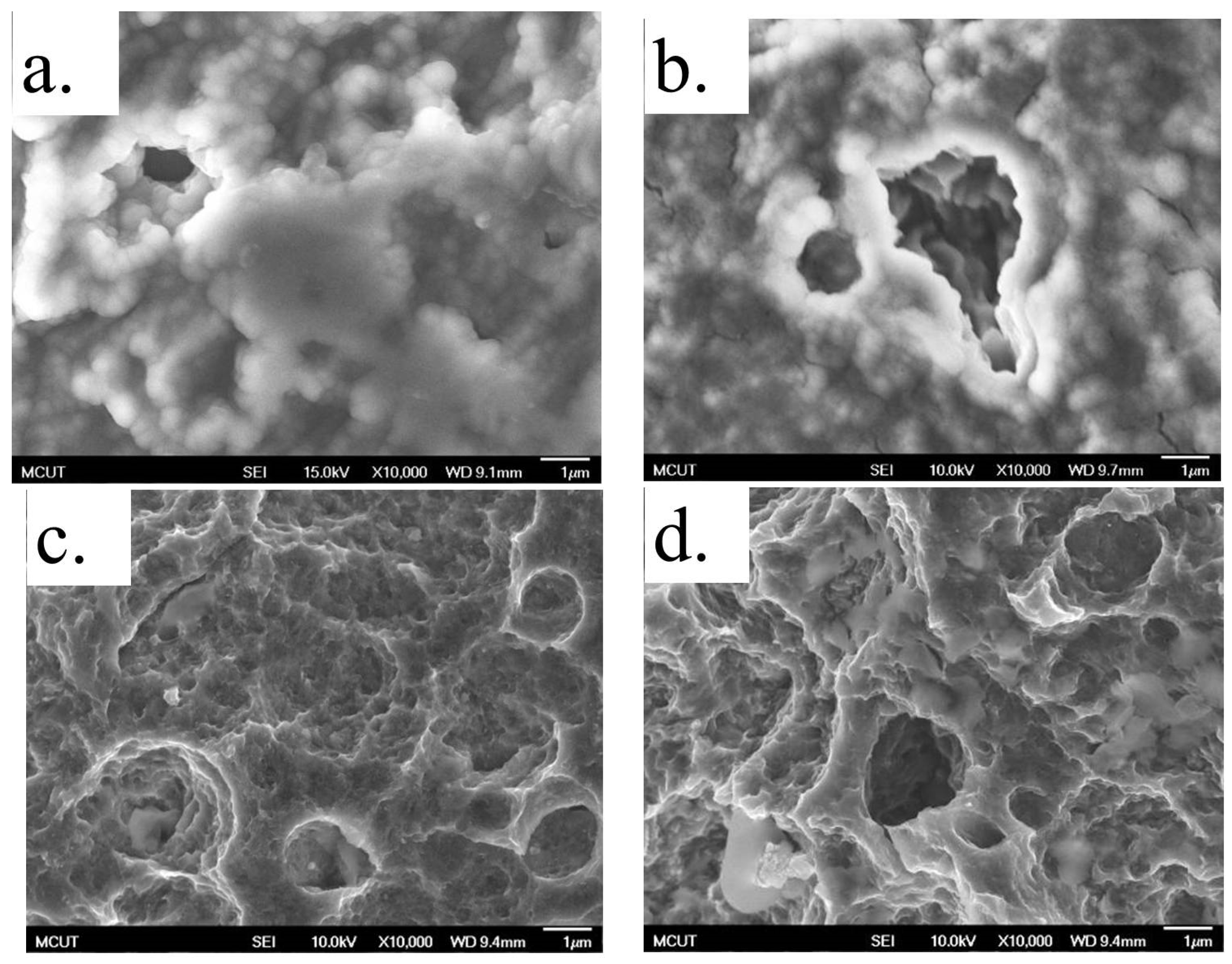 Coatings 07 00126 g009a Coatings 07 00126 g009a