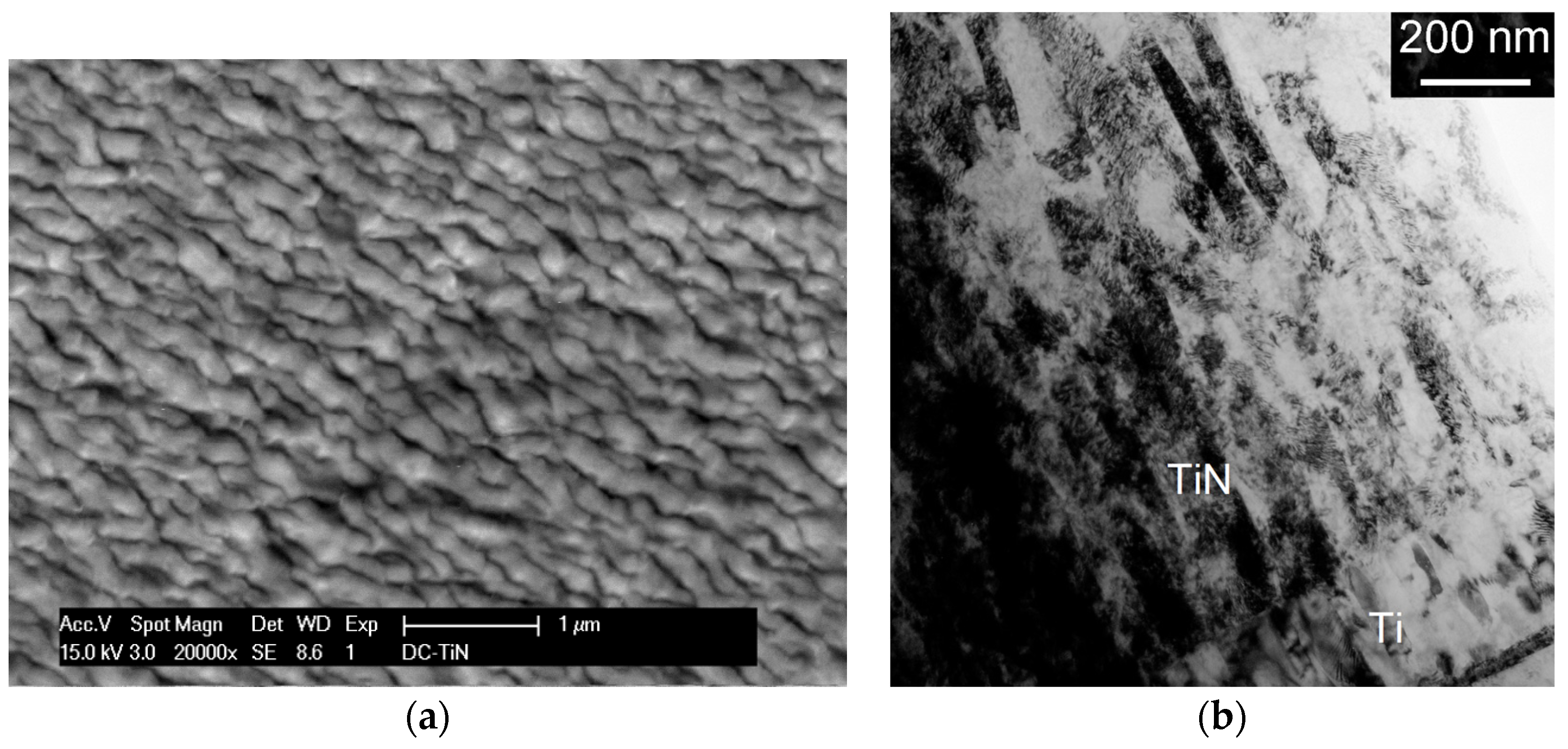 Coatings 07 00128 g002