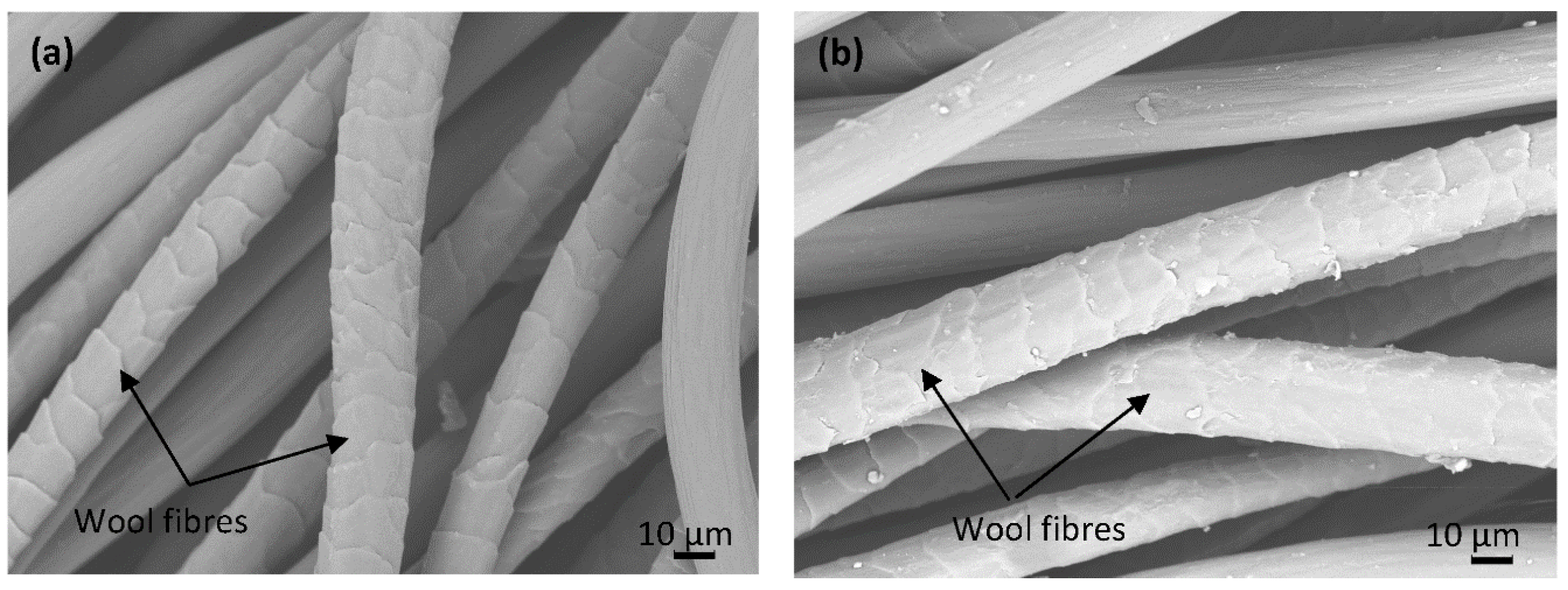 Coatings 07 00132 g005