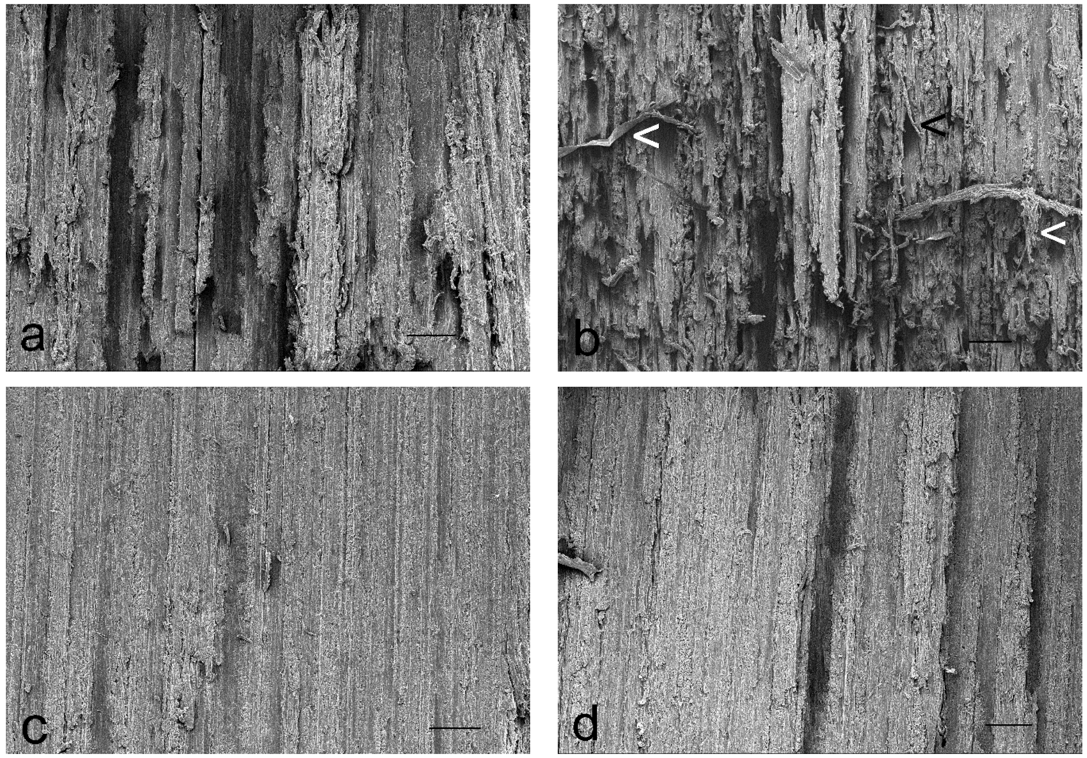 Coatings 07 00135 g010 Coatings 07 00135 g010